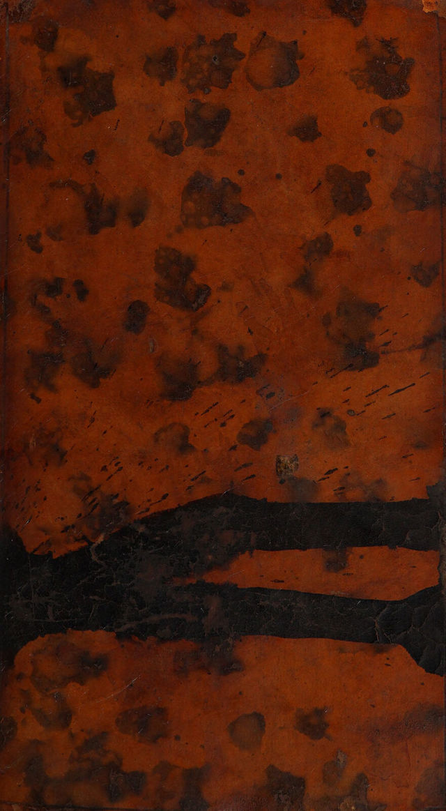 digitised image 1