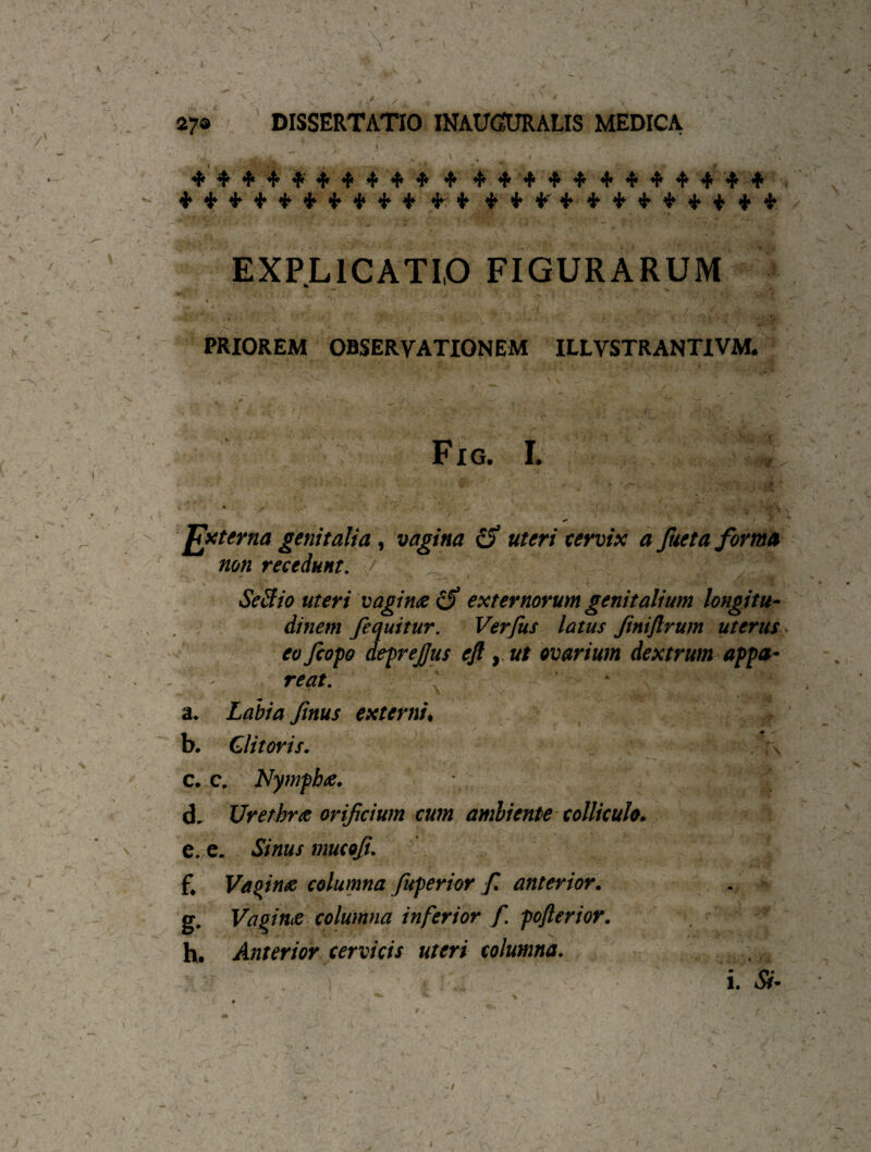 Ss' / 27® DISSERTATIO INAUOJRALIS MEDICA * * * ... k 7 j£l iS| ' uftaf _S,jXg jX. jftk • 3aSl fXk jX* . jfifc 4&k ^Bl 4 '^B|1 . . 'J' *n »p 'I* ■ '1' 'I’ *|* t* T» Ti W $********* * * ************ EXPLICATIO FIGURARUM PRIOREM OBSERVATIONEM ILLVSTRANTIVM. M \ \ Fig. I. • , ' * ■ * * • M ’ ** . • • i y*> ‘4 Jlxterna genitalia , vagina £f? uteri cervix a fueta forma non recedunt. ■/ . \.j \- ' * 1 ; v,r ? ' Seftio uteri vagina c5 externorum genitalium longitu¬ dinem /equitur. Verfus latus finiftrum uterus eo /copo deprejjus eft , ut ovarium dextrum appa¬ reat. a* Labia finus externi• b. Clitoris. c. c. Nympbtf. ; • d. Urethra orificium cum ambiente colliculo. e . e* mucofi. f* Vaoin& columna fuperior fi anterior. g. Vagina columna inferior f. pofterior. h. Anterior cervicis uteri columna. i. &*- -/ /