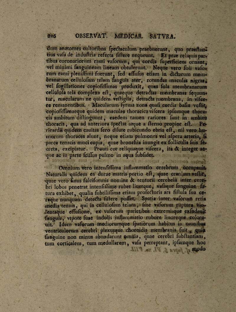 ♦ dum anfrtomes ciiltonbns lpe<flaciilnm praebiierunf, quo praeftanl tius vafa de induflria referta firicre nequeunt* Et prae reliquis par¬ tibus coronariorum rami vaformn^ qui cordis fuperficiera ornant, vel minimi finguincam lineam obtulerunt.* Neque vero foli vafo- riim rami pleni/finii fuerunt, fed effufus etiam in didarum mem¬ branarum cellulofam telam ianguis ater, rotundas maculas nigras* ^el fugilJationes copiofilUmas produxit^ quas fola membranarum ccllulofa tela complexa eft, quaeque detradas membranas fequim^ tur, macularum ne quidem vedigiis, detrada membrana, in vifcc- re^remanentibus. Macularum lyrma zona quafi cordis balin veftit,- copiofiffimaeque quidem maculae thoracica vifcera ipfumque thora¬ cis ambitum diftingiiunt, eaedem tamen rariores funt in ainbittt thoracis, qua ad anteriora ipedat atque a Aerno propior cft. Po« ricardii qiiidem cauitas fero dilute rubicundo ebria eft, nil vcro hii- inariim thoraces aiunt, neque etiam pulmones vel afpera arteria,.£1 parca tenacis muci copia, quae bronchia inungit ex folliculis fuis fe» creta, excipiatur. Prouti cor reliqiiaque vifcera, ita & integer ae^ que ac in parte fciffus pulmo in aqua fubfidct. Omnium Vero intenfillima inflammatio cerebrum . occupauit* Naturalis quidem ea durae matris portio efl, quae cranium yeflit* quae vero flnus falciformis nomine & tentorii cerebelli inter cere^ bri lobos penetrat intenliflunc riibet liuetqiie, vafaque fanguiae fa¬ tura exhibet,^qualia fubtiliflima etiam profedoris ars fiflula fua cc- raqiie nunquam deteda fillere poflet. Spatia • inter valbrum retia media teiinis, qui in cellulofam telam fme vaforiuii ruptura vio*- rrentaqVie effufione, ex vaforum parietibus extremisque exfadanj^ farigurs,’ vtpote fuae indblis inflammatio rubore liuoreque colora- uit' Idem-vaforum medioruinqiie fpatiorum habitus in omnibus ventriculofiun cerebri plexusque choroidis membranis, fuit,, quip fanguine non minus abundarunt prania, quae cerebri fubflantiam, tmn corticalem, tum medullarem, vafa perreptant, ipfamqiie hoc ' \ \ ^ H^pdo
