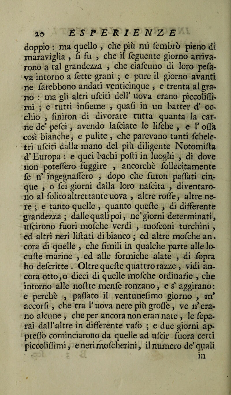 doppio : ma quello , che più mi fembrò pieno di maraviglia , fi fu , che il feguente giorno arriva¬ rono a tal grandezza , che ciafcuno di loro pefa- va intorno a fette grani ; e pure il giorno avanti ne farebbono andati venticinque , e trenta al gra¬ no : ma gli altri ufciti dell* uova erano piccoliffi- mi ; e tutti infieme , quali in un batter d* oc¬ chio , fìniron di divorare tutta quanta la car¬ ne de* pefci, avendo lafciate le lifche , e F offa così bianche, e pulite , che parevano tanti fchele- tri ufciti dalla mano del più diligente Notomifta d’Europa : e quei bachi polli in luoghi , di dove non poteffera fuggire , ancorché follecitamente fe n* ingegnalfero , dopo che furon palfati cin¬ que , o fei giorni dalla loro nalcita , diventaro¬ no al folito altrettante uova , altre rolfe, altre ne¬ re ; e tanto quelle , quanto quelle , di differente grandezza; dalle quali poi, ne'giorni determinati, ufcirono fuori mofche verdi , mofconi turchini, ed altri neri lillati di bianco ; ed altre mofche an¬ cora di quelle , che fimili in qualche parte alle lo- cufle marine , ed alle fòrmiche alate , di /òpra ho defcritte . Oltre quelle quattro razze , vidi an¬ cora otto,o dieci di quelle mofche ordinarie , che intorno alle noltre menfe ronzano, e s' aggirano: e perchè , palfato il ventunelimo giorno , m* accorfi, che tra l’uova nere più grolle, ve n* era¬ no alcune , che per ancora non eran nate , le fepa- rai dalfaltre in differente vaio ; e due giorni ap- prelfo cominciarono da quelle ad ufcir fuora certi piccolillimi, e neri mofcherini, il numero de’quali in