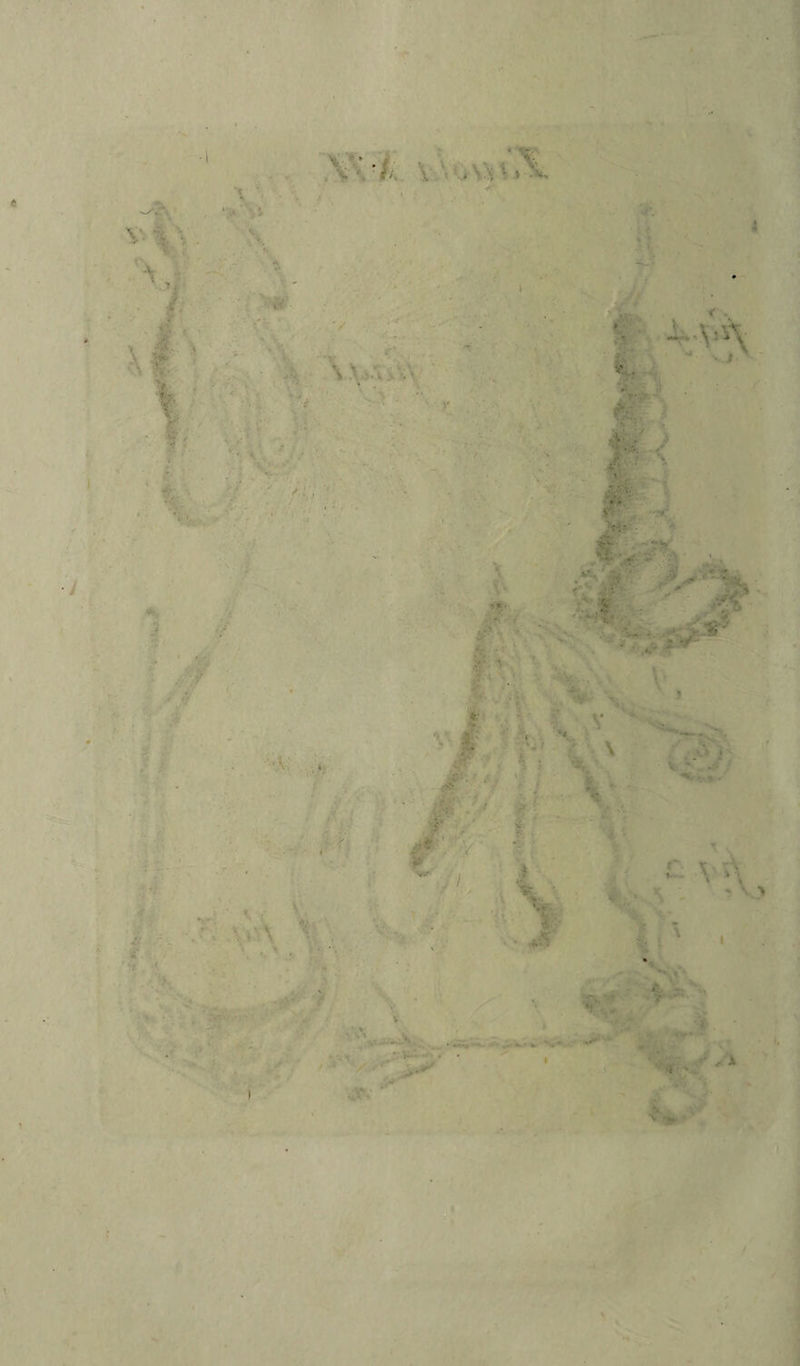 , ‘ ■ ■ r. w • \ • ’ ■ '■ . ì ■ ''.«e - 4-i : • «• • *.. ; . •• £• < . ■ •# v ■ f,'.. - . . V • | , rp*- •% éà * \ > ■ A ■ y> : . w; é - - S . A # ■ m ' - ' • B ■ ■ . V ' .i. l ■ %; t* ■ '* s ? -tfcv,-* ■ „ . - S e' v • * * J ! i i' \ ;• -. j ■ * v. v • • T. • '.•‘A '■ , ' : fi •- • . ■ '* * « ■ V ' y kV-*•'**•-** /. . .*■ j.* : .*v ■ V. ' .. ....... 4. -.«• ■ rrn , A