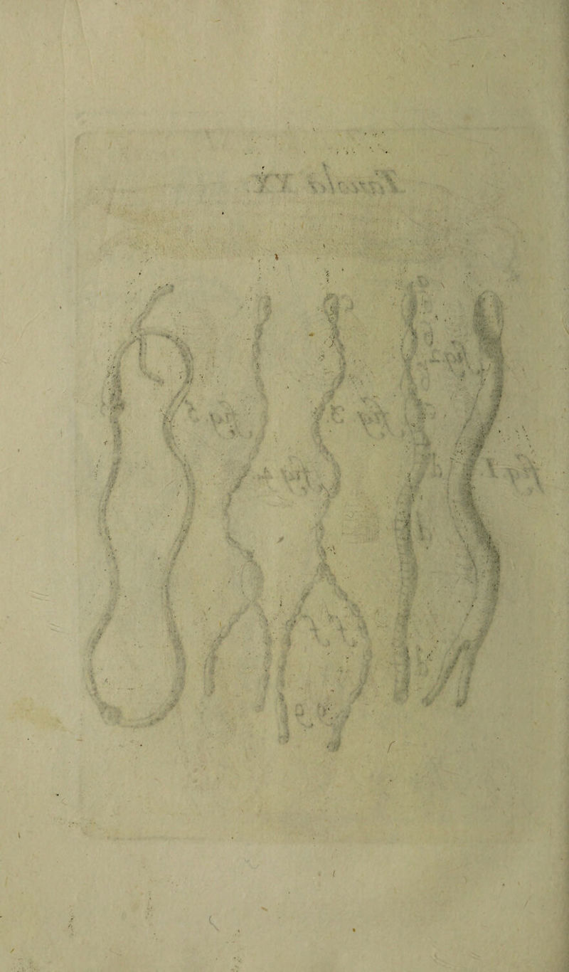 ■■ I l t •*» /