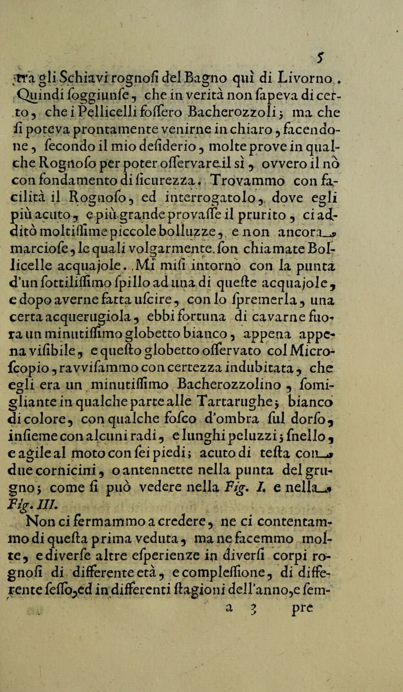 s jtra gli Schiavi rognofi del Bagno qui di Livorno . : Quindi foggiunfe -, che in verità non fapeva di cer¬ to , che i Pelliccili fodero Bacherozzoli > ma che li poteva prontamente venirne in chiaro , facendo- ne 5 fecondo il mio defiderio , molte prove in qual¬ che Rognofo per poter olfervareil sì -, ovvero il nò con fondamento ai ficurezza . Trovammo con fa¬ cilità il Rognofo , ed interrogatolo->• dove egli più acuto , e più grande provaffe il prurito , ci ad¬ ditò moltiffimepiccolebolìuzze, e non ancora.^ marciofe , le quali volgarmente.fon chiamate Bol- licelle acquaiole . .Mfmifi intorno con la punta d’unfottilifllmofpilloadunadi quelle acquaiole, e dopo averne fatta ufcire 5 conio fpremerla, una certa acquerugiola , ebbi fortuna di cavarne fuo^ ra un minutiflimo globetto bianco , appena appe¬ na vifibile, e quello globetto olfervato colMicro- fcopio , ravvifammo con certezza indubitata -, che egli era un minutiflimo Bacherozzolino , fomi- gRante in qualche parte alle Tartarughe * bianco di colore, con qualche fofco d’ombra fui dorfo, inficine con alcuni radi, e lunghi peluzzi $ fnello , e agile al moto con fei piedi; acuto di tetta coil^* due corniciai, o antennette nella punta del gru¬ gno 5 come fi può vedere nella F/g. L e nella^f F/g. III. Non ci fermammo a credere, ne ci contentam¬ mo di quella prima veduta, ma ne facemmo mol¬ te, ediverfe altre efperienze in divertì corpi ro¬ gnofi di differente età, ecompleflione, di diffe¬ rente feflo^ed in differenti Ragioni deH'anno,e fem- a 3 pre