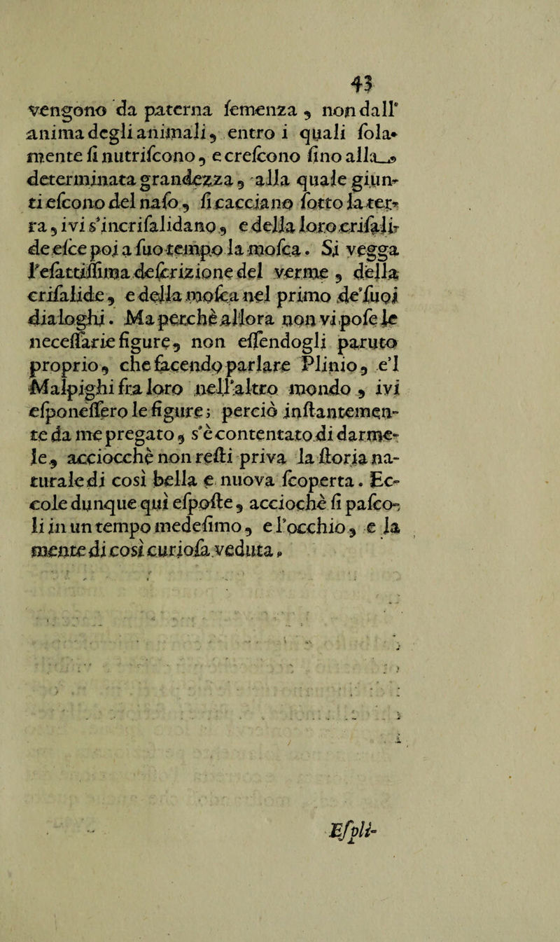 iì vengono da paterna temenza , non dall* anima degli animali 5 entro i quali fola* mente li nutriscono , e crefcono fino alla.^ determinata grandezza 3 alla quale giùn¬ ti cleono del nafo , fi caccia no fiotto latei> ra 3 ivi s incrifalidano 3 e della loro enfiai fi de elee poi a Ilio tempo la mofica. Si vegga felattiffima deforizione del verme 5 della crilalide, edellamofcanel primo de’fuQj dialoghi. Ma perchè allora nonvipofieie necelfarie figure3 non elfondogli partito proprio, che facendo parlare Plinio, e’i Malpighi fra loro nel.1-altro mondo, ivi elponelfiero le figure 5 perciò inftantemen- te da me pregato , s*è contentato di darme¬ le, acciocché non refti priva la ftoria na¬ turale di così bella e nuova fooperta. Ec¬ cole dunque qui efpofte , acciochè fi palèo-, li in un tempo medefimo , e Cocchio, e la mente di così curiosa veduta ,