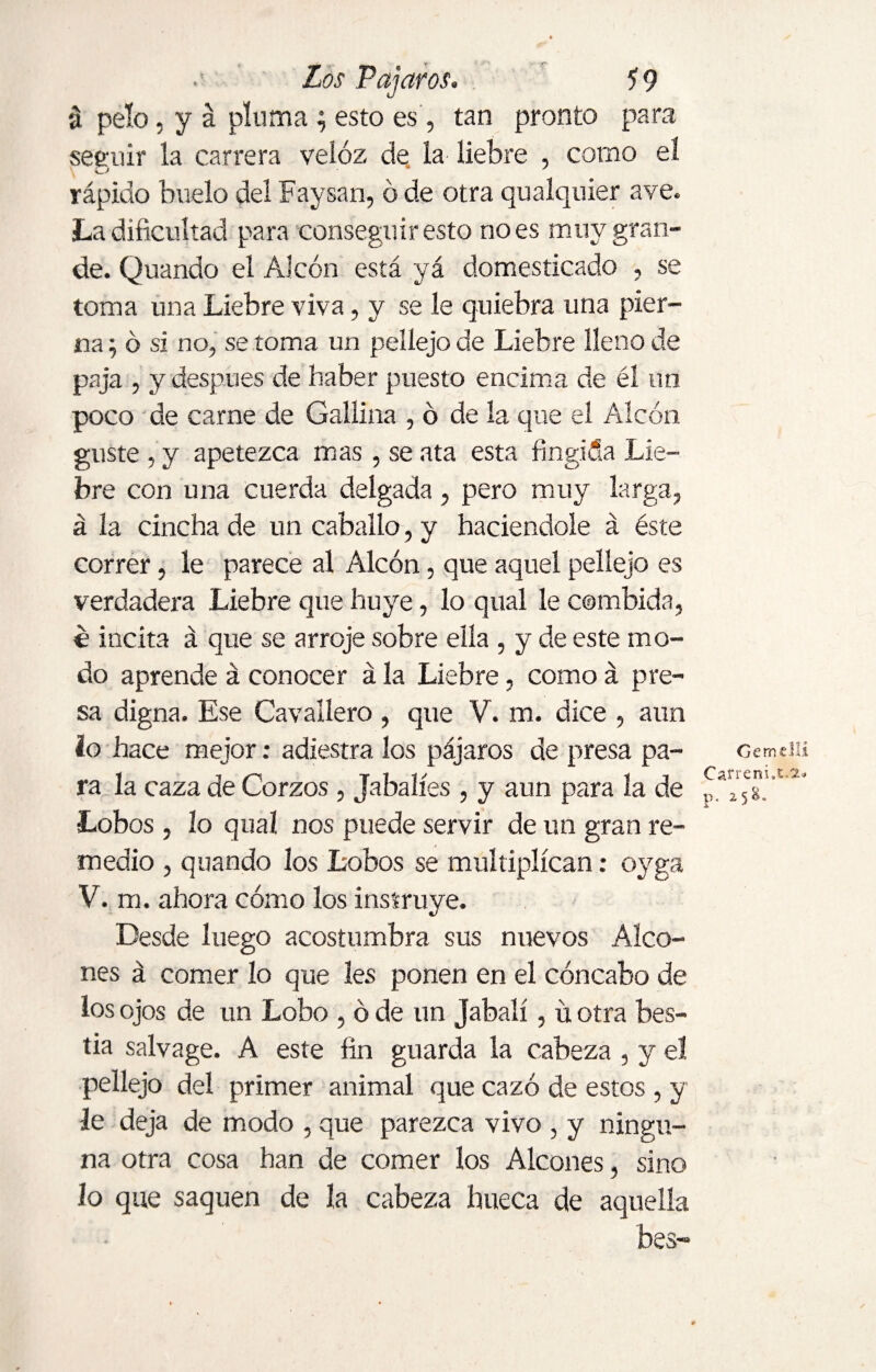 á pelo, y á pluma ; esto es, tan pronto para segrí ir la carrera veloz de la liebre , como el rápido buelo del Faysan, ó de otra qualquier ave. La dificultad para conseguir esto no es muy gran¬ de. Quando el Alcón está yá domesticado , se toma una Liebre viva, y se le quiebra una pier¬ na ; ó si no, se toma un pellejo de Liebre lleno de paja , y después de haber puesto encima de él un poco de carne de Gallina , ó de la que el Alcón guste , y apetezca mas, se ata esta fingida Lie¬ bre con una cuerda delgada, pero muy larga, á la cincha de un caballo, y haciéndole á éste correr, le parece al Alcón, que aquel pellejo es verdadera Liebre que huye, lo qual le combida, é incita á que se arroje sobre ella , y de este mo¬ do aprende á conocer á la Liebre, como á pre¬ sa digna. Ese Cavallero , que V. m. dice , aun io hace mejor: adiestra los pájaros de presa pa¬ ra la caza de Corzos , Jabalíes , y aun para la de Lobos , lo qual nos puede servir de un gran re¬ medio , quando los Lobos se multiplican: oyga V. m. ahora cómo los instruye. Desde luego acostumbra sus nuevos Aleo¬ nes á comer lo que les ponen en el cóncabo de los ojos de un Lobo , ó de un Jabalí, ü otra bes¬ tia salvage. A este fin guarda la cabeza , y el pellejo del primer animal que cazó de estos , y le deja de modo , que parezca vivo , y ningu¬ na otra cosa han de comer los Aleones, sino lo que saquen de la cabeza hueca de aquella bes- GemeJlí Carreni„t.x> p. 2