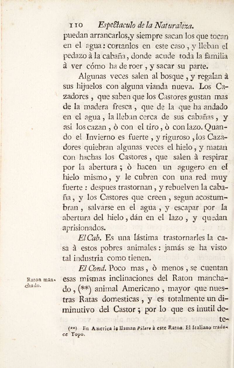 Rato a man* citado. 11 o Espedí aculo de la Naturaleza. puedan arrancarlos,y siempre sacan los que tocan en el agua: cortanlos en este caso , y lleban el pedazo á la cabaña, donde acude toda la familia á ver cómo ha de roer , y sacar su parte. Algunas veces salen ai bosque , y regalan á sus hijuelos con alguna vianda nueva. Los Ca¬ zadores , que saben que los Castores gustan mas de la madera fresca , que de la que ha andado en el agua, la lleban cerca de sus cabañas , y asi los cazan , ó con el tiro, ó con lazo. Quan- do el Invierno es fuerte , y riguroso , los Caza¬ dores quiebran algunas veces el hielo, y matan con hachas los Castores , que salen á respirar por la abertura ; ó hacen un agugero en el hielo mismo, y le cubren con una red muy fuerte : después trastornan, y rebuelven la caba¬ ña , y los Castores que creen , según acostum¬ bran , salvarse en el agua , y escapar por la abertura del hielo, dán en el lazo , y quedan aprisionados. ElCab. Es una lástima trastornarles la ca¬ sa á estos pobres animales: jamás se ha visto tal industria como tienen. El Cond. Poco mas, ó menos , se cuentan esas mismas inclinaciones del Raton mancha¬ do , (**) animal Americano , mayor que nues¬ tras Ratas domesticas , y es totalmente un di¬ minutivo del Castor; por lo que es inútil de¬ te- (**) En America te llaman Pilort á este Ratón. El Italiano tr¿dv* cc Topo.