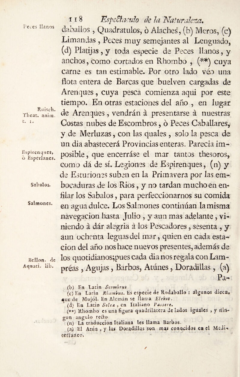 Peces llanos Ruisch. Theat. anim. t. i, Espirenques, a Espcrlanes. Sábalos. Salmones. Bcílon. de Aqtaati. iib. 118 Espectáculo de la Naturaleza, daballos , Quadratulos, ó Alaches, (b) Meros, (c) Limandas , Peces muy semejantes al Lenguado, (d) Platijas , y toda especie de Peces llanos, y anchos, como cortados en Rhombo , (**\ cuya carne es tan estimable. Por otro lado véo una flota entera de Barcas que buelven cargadas de Arenques, cuya pesca comienza aqui por este tiempo. En otras estaciones del año , en lugar de Arenques, vendrán á presentarse á nuestras Costas nubes de Escombros, ó Peces Caballares, y de Merluzas, con las quales , solo la pesca de un dia abastecerá Provincias enteras. Parecía im¬ posible , que encerráse el mar tantos thesoros, como dá de sí. Legiones de Espirenques, (n) y de Esturiones suben en la Primavera por las em¬ bocaduras de los Ríos , y no tardan mucho en en¬ filar los Sábalos, para perfeccionarnos su comida en agua dulce. Los Salmones continúan la misma navegación hasta Julio , y aun mas adelante, vi¬ niendo á dár alegría á los Pescadores, sesenta , y aun ochenta leguas del mar, quien en cada esta¬ ción del año nos hace nuevos presentes, además de los quotidianos;pues cada dia nos regala con Lam¬ preas , Agujas, Barbos, Atúnes, Doradillas, (a) Pa- (b) En Latin Scombrui. (c) En Larin Rhombus. Es especie cíe Rodaballo : algunos dÍeea@ 4|ue de Mujól. En Alemán se llama Elcbot. (d) En Latin Solea, , en Italiano Passere. (**) Rhombo es una figura quadrílatcra de lados igüálcs , y nin¬ gún ángulo redo ’(n) La traducción Italiana les llama Barbos. (a) El Atún , y las Doradillas son mas conocidos en el MéJU cerrajeo* * 