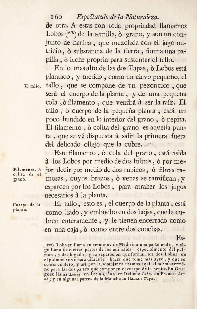 Filamento, b colita de el grano. Cuerpo de la planta. 16o Espedí aculo de ¡a Naturaleza. de otra. A estas con toda proprkdad llamamos Lobos (**) de la semilla, ó grano, y son un con¬ junto de harina , que mezclada con el jugo nu¬ tricio , ó substancia de la tierra , forma una pa¬ pilla , ó Itche propria para sustentar el tallo. En lo mas alto de las dos Tapas, ó Lobos está plantado, y metido , como un clavo pequeño, el será el cuerpo de la planta , y de una pequeña cola , ó filamento , que vendrá á ser la raíz. El tallo , ó cuerpo de la pequeña planta , está un poco hundido en lo interior del grano , ó pepita. El filamento , ó colita del grano es aquella pun¬ ta , que se vé dispuesta á salir la primera fuera del delicado ollejo que la cubre. ' Este filamento , ó cola del grano, está asida á los Lobos por medio de dos hilitos, ó por me¬ jor decir por medio de dos tubicos, ó fibras ra¬ mosas , cuyos brazos, ó venas se ramifican, y esparcen por los Lobos, para atraher los jugos necesarios á la planta. El tallo, esto es, el cuerpo de la planta, está como liado, y embuelto en dos hojas, que le cu¬ bren enteramente , y le tienen encerrado como en una caja, ó como entre dos conchas. Es- (**) Lobo se llama en términos de Medicina una parte mole , y al¬ go llana de ciertas partes de los animales , especialmente del pul¬ món , y del hígado , y la separación que forman los dos Lobos en el pulmón sirve para dilatarle , hacer que tome mas ayre , y que se conserve ilesos y asi por la semejanza usamos aquí el mismo termi¬ no para las dos partes que componen el cuerpo de la pepita. En Grie¬ go se llama Lobos , en Latin Lobus, en Italiano Lobo, en Frances Z.#- be ¿ y en algunas partes de la Mancha le llaman Taga*