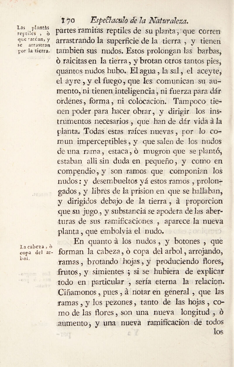reptiles , 6 que ratcan, y se arrastran por la tierra* La cabera j o copa del ár¬ bol. 170 Espedí acal o de la Naturaleza. partes ramitas reptiles de su planta, que corren arrastrándola superficie de la tierra , y tienen también sus nudos. Estos prolongan las barbas, ó raicitas en la tierra, y brotan otros tantos pies, quantos nudos hubo. El agua, la sal, el aceyte, el ay re, y el fuego, que les comunican su au¬ mento, ni tienen inteligencia, ni fuerza para dar ordenes, forma, ni colocación. Tampoco tie¬ nen poder para hacer obrar, y dirigir los ins¬ trumentos necesarios , que han de dar vida á la planta. Todas estas raíces nuevas, por lo co¬ mún imperceptibles, y que salen de los nudos de una rama, estaca, ó mugrón que se plantó, estaban alli sin duda en pequeño, y como en compendio, y son ramos que componían los nudos: y desembueltos yá estos ramos , prolon¬ gados , y libres de la prisión en que se hallaban, y dirigidos debajo de la tierra , á proporción que su jugo, y substancia se apodera de las aber¬ turas de sus ramificaciones , aparece la nueva planta, que embolvia el nudo. En quanto á los nudos, y botones , que forman la cabeza, ó copa del árbol, arrojando, ramas, brotando hojas, y produciendo flores, frutos, y simientes \ si se hubiera de explicar todo en particular , sería eterna la relación. Ciñámonos, pues, á notar en general, que las ramas, y los pezones, tanto de las hojas , co¬ mo de las flores, son una nueva longitud , o aumento, y una nueva ramificación de todos los