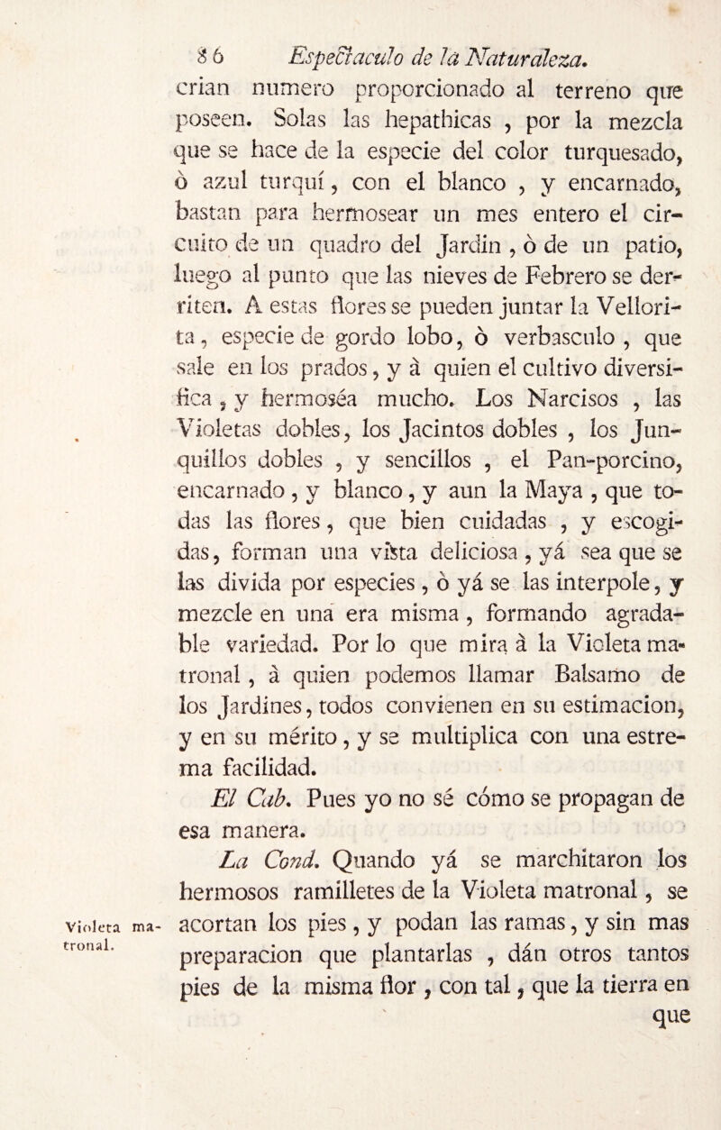 crian numero proporcionado al terreno que poseen. Solas las hepathicas , por la mezcla que se hace de la especie del color turquesado, ó azul turquí, con el blanco , y encarnado, bastan para hermosear un mes entero el cir¬ cuito de un quadro del Jardín , ó de un patio, luego al punto que las nieves de Febrero se der¬ riten. A estas flores se pueden juntar la Vellori¬ ta, especie de gordo lobo, ó verbasculo , que sale en los prados, y á quien el cultivo diversi¬ fica s y hermoséa mucho. Los Narcisos , las Violetas dobles, los Jacintos dobles , los Jun¬ quillos dobles , y sencillos , el Pan-porcino, encarnado , y blanco, y aun la Maya , que to¬ das las flores, que bien cuidadas , y escogi¬ das, forman una vista deliciosa, yá sea que se las divida por especies, ó yá se las interpole, y mezcle en una era misma, formando agrada¬ ble variedad. Por lo que mira á la Violeta ma¬ tronal , á quien podemos llamar Balsamo de los Jardines, todos convienen en su estimación, y en su mérito, y se multiplica con una estre¬ ñía facilidad. El Cab. Pues yo no sé cómo se propagan de esa manera. La Cond. Quando yá se marchitaron los hermosos ramilletes de la Violeta matronal, se acortan los pies, y podan las ramas, y sin mas preparación que plantarlas , dán otros tantos pies de la misma flor , con tal, que la tierra en que Violeta ma¬ tronal.