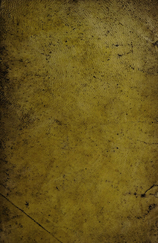 digitised image 1