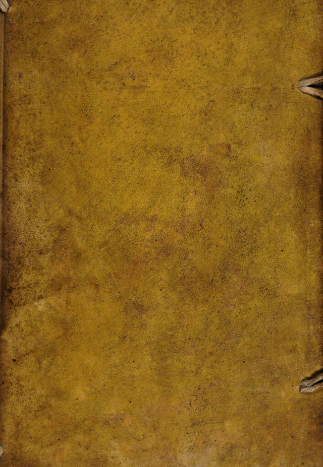 digitised image 1
