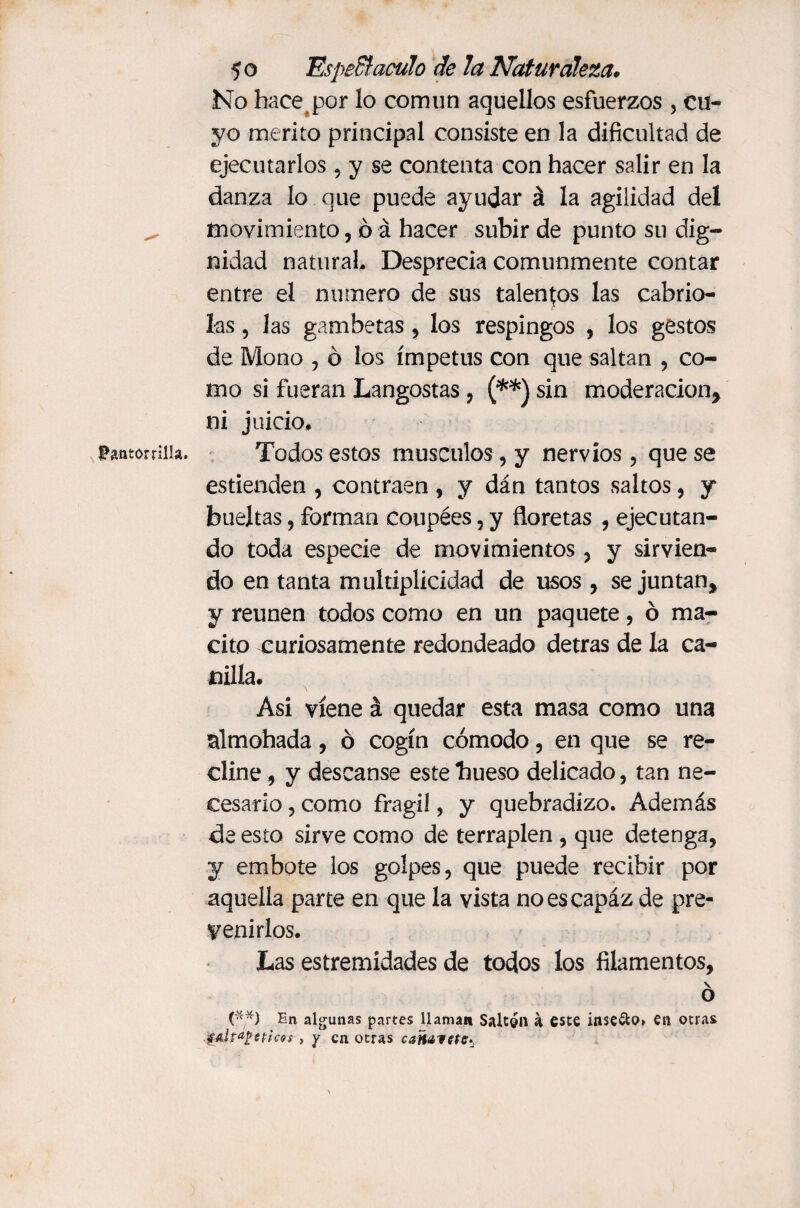 Pantorrilla. No hace por lo com un aquellos esfuerzos , cu¬ yo mérito principal consiste en la dificultad de ejecutarlos, y se contenta con hacer salir en la danza lo que puede ayudar á la agilidad del movimiento, ó á hacer subir de punto su dig¬ nidad natural. Desprecia comunmente contar entre el numero de sus talentos las cabrio¬ las , las gambetas , los respingos , los gestos de Mono , ó los ímpetus con que saltan , co¬ mo si fueran Langostas, (**) sin moderación* Todos estos músculos, y nervios, que se estienden , contraen , y dán tantos saltos, y bueltas, forman coupées, y floretas , ejecutan¬ do toda especie de movimientos, y sirvien¬ do en tanta multiplicidad de usos , se juntan* y reúnen todos como en un paquete, ó ma¬ cho curiosamente redondeado detras de la ca¬ nilla. Asi viene á quedar esta masa como una almohada , ó cogín cómodo, en que se re¬ cline , y descanse este hueso delicado, tan ne¬ cesario , como frágil, y quebradizo. Además de esto sirve como de terraplén , que detenga, y embote los golpes, que puede recibir por aquella parte en que la vista noescapáz de pre¬ venirlos. Las estremídades de todos los filamentos, v o (**) En algunas partes llaman Saltón a este insecto» en otras 4&ltaÜ éticos, y en otras cañaicte^