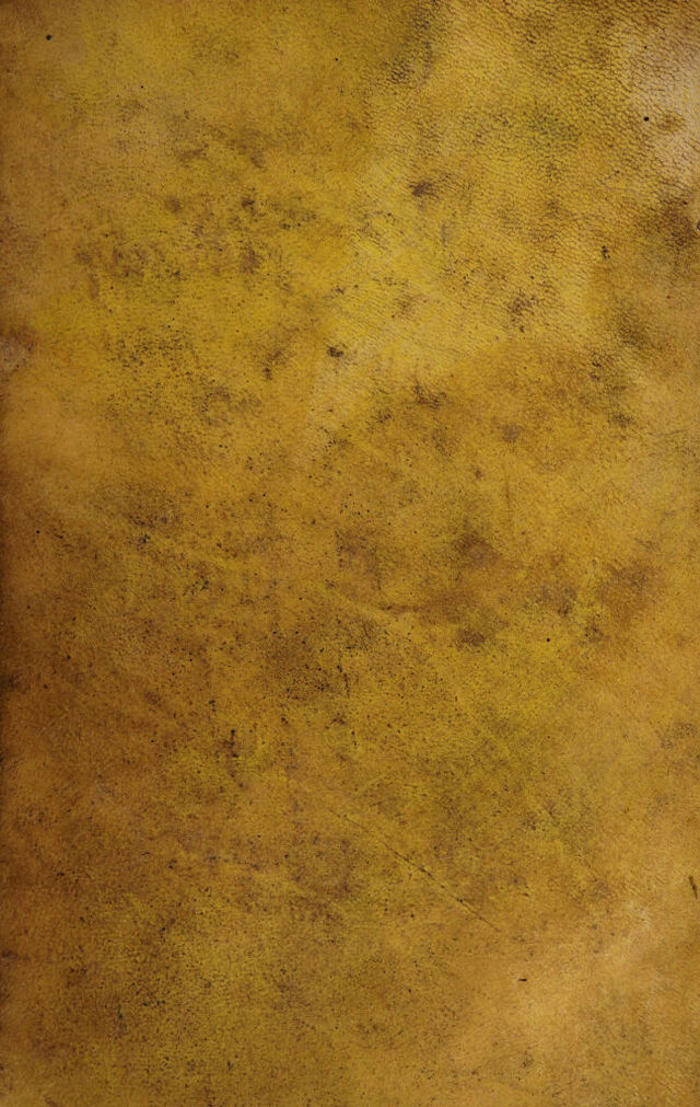 digitised image 1