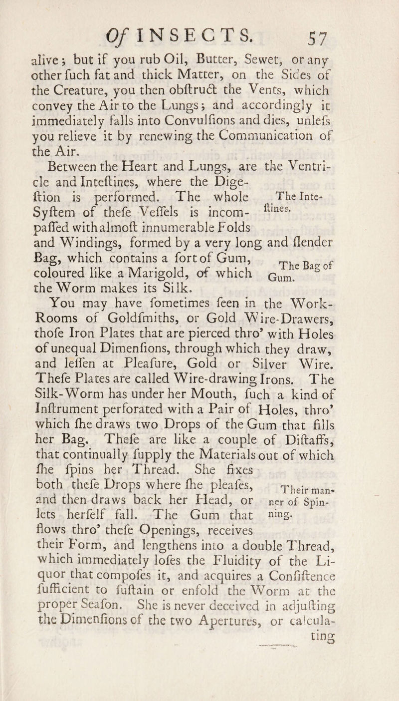 The Inte« Hines. Of INSECTS. 57 alive; but if you rub Oil, Butter, Sewet, or any other fuch fat and thick Matter, on the Sides of the Creature, you then obdrudl the Vents, which convey the Air to the Lungs ; and accordingly it immediately falls into Convulfions and dies, unlefs you relieve it by renewing the Communication of the Air, Between the Heart and Lungs, are the Ventri¬ cle and Intedines, where the Dige- dion is performed. The whole Sydem of thefe Veffels is incom- pafled withalmod innumerable Folds and Windings, formed by a very long and (lender Bag, which contains a fort of Gum, f coloured like a Marigold, of which Gum.6 the Worm makes its Silk. You may have fometimes feen in the Work- Rooms of Goldfmiths, or Gold Wire*Drawers, thofe Iron Plates that are pierced thro5 with Holes of unequal Dimenfions, through which they draw, and lelfen at Pleafure, Gold or Silver Wire. Thefe Plates are called Wire-drawing Irons. The Silk-Worm has under her Mouth, fuch a kind of Indrument perforated with a Pair of Holes, thro5 which (he draws two Drops of the Gum that fills her Bag. Thefe are like a couple of Didaffs, that continually fupply the Materials out of which fhe fpins her Thread. She fixes both thefe Drops where fhe pleafes. Their man* and then draws back her Head, or ner 0f Spin- lets herfelf fall. The Gum that ning. flows thro5 thefe Openings, receives their Form, and lengthens into a double Thread, which immediately lofes the Fluidity of the Li¬ quor that compofes it, and acquires a Confidence fufRcient to fudain or enfold the Worm at the proper Seafon. She is never deceived in adjuding the Dimenfions of the two Apertures, or calcula-