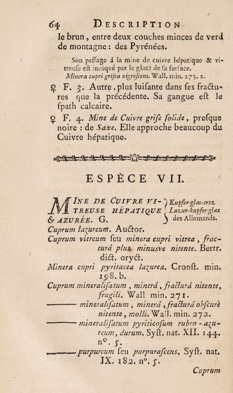 le brun, entre deux couches minces de verd de montagne : des Pyrénées. Son pailage à la mine de cuivre hépatique 8c vi- treufe eft indiqué par le glacé de fa furface. Minera cupri grifea nigrefcens.W ail. min. 273. 2. Ç F. 3. Autre , plus luifante dans fes fraélu- res que la précédente. Sa gangue eft le fpath calcaire. Ç F, 4. Mine de Cuivre grife folide, prefque noire : de Saxe. Elle approche beaucoup du Cuivre hépatique. ESPÈCE VII. MIne de Cuivre vi~'jKutfer-gU$-mz. T REUSE HEPATIQUE [ Lazur-kupfer-gUs & AZURÉE. G. J des Allemands. Cuprum layureum. Au&or. Cuprum vitreum leu minera cupri vitrea , frac¬ tura plus, minusve nitente. Bertr. did. oryéh Minera cupri pyritacea lagurea. Cronft. min. ip8. b. Cuprum mineralifatum , minera , fractura nitente, fragili. Wall min. 271. ———— mineralifatum , minera ,fractura obfcurb nitente , molli. Wall. min. 272. *——-mineralifatum pyriticofum rubro - agu- reum, durum. Syft. nat. XII. 144. nQ. y. ^——purpureum feu purpurafeens, Syft. nat. IX. 182. n°. y. Cuprum