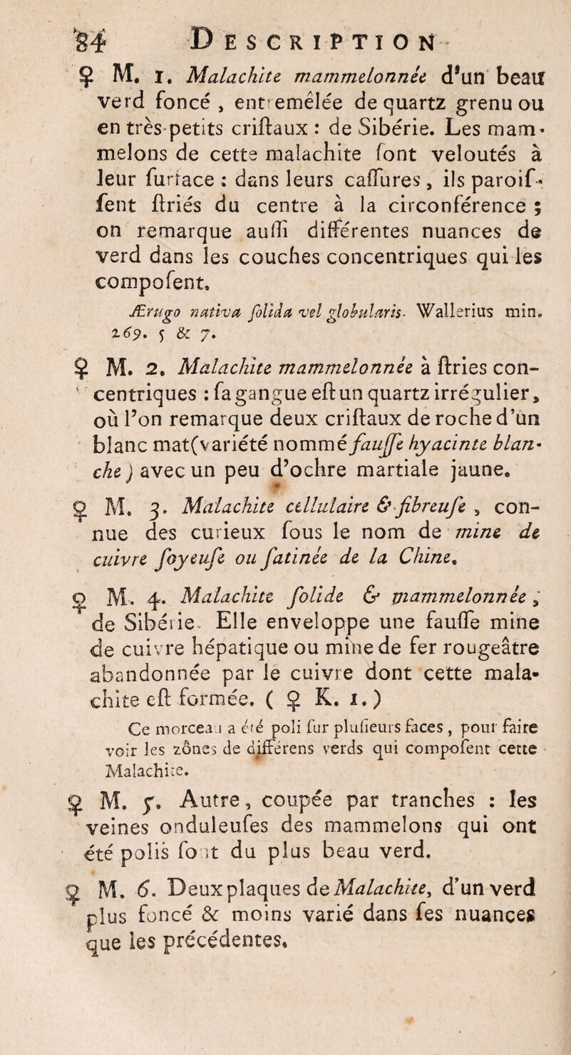 Ç M, I. Malachite mammelonnêe d*un beau verd foncé, entemêlée de quartz grenu ou en très-petits criftaux : de Sibérie. Les mam- melons de cette malachite font veloutés à leur furrace : dans leurs cafTures, ils paroif • fent ftriés du centre à la circonférence ; on remarque aulîi différentes nuances de verd dans les couches concentriques qui les compofent, Ærugo nativa folida vel globulrtris. Wallsrius min. %6$. 5 & 7. $ M. 2. Malachite mammelonnêe à ftries con- • centriques : fa gangue eft un quartz irrégulier, où l’on remarque deux criftaux de roche d’un blanc matfvariété nommé faujje hyacinte blan¬ che ) avec un peu d’ochre martiale jaune. Ç Mo 3. Malachite cellulaire & fibreufe , con¬ nue des curieux fous le nom de mine de cuivre foyeufe ou fatinêe de la Chine. o M. 4. Malachite folide & mammelonnêe, de Sibéiie Elle enveloppe une faufte mine de cuivre hépatique ou mine de fer rougeâtre abandonnée par le cuivre dont cette mala¬ chite eft formée. ( Ç K. 1.) Ce morcea 1 a été poli fur plufieurs faces, pour faire voir les zones de diffère ns verds qui composent cette Malachite. g M. 5% Autre, coupée par tranches : les veines onduleufes des mammeîons qui ont été polis fo :t du plus beau verd. Ç M. 6. Deux plaques de Malachite, d’un verd plus foncé & moins varié dans fes nuances que les précédentes.