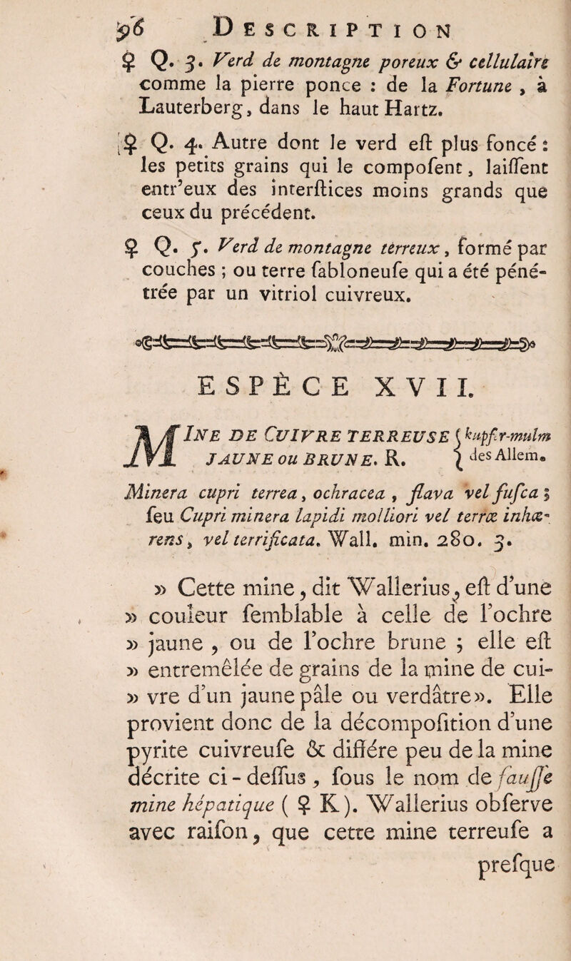 ? Q* 3* montagne poreux & cellulaire comme la pierre ponce : de la Fortune , à Lauterberg, dans le haut Hartz. ;$ q. Autre dont le verd eft plus foncé : les petits grains qui le compofent, 1 aident entr’eux des interftices moins grands que ceux du précédent. ? Q* S* yzrÛ de montagne terreux, formé par couches ; ou terre fabloneufe qui a été péné- trée par un vitriol cuivreux. ®<§ ESPÈCE XVII. INE DE Cuir RE TERREUSE JAUNE OU BRUNE. R. ( kupfir-mulm 1 desAllem. Minera cupri terrea, ochracea , Jlava ’vel fufca ; feu Cupri minera lapidi molliori vei terrez inhee- /•«M* vel terrifie ata ^ ail. min. 280. 3. » Cette mine, dit Wallerius^ eft d’une » couleur fembiable à celle de l’ochre » jaune , ou de l’ochre brune ; elle eft » entremêlée de grains de la mine de cui- » vre d’un jaune pâle ou verdâtre». Elle provient donc de la décompofition d’une pyrite cuivreufe & diffère peu de la mine décrite ci - defiiis fous le nom de faujjc mine hépatique ( ? K). Wallerius obferve avec raifon 5 que cette mine terreufe a { x j. prefque