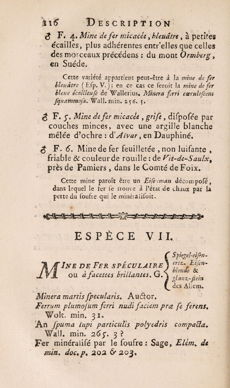 £ F. 4. Mine de fer micacée, bleuâtre , à petites écailles, plus adhérentes entr’eîles que celles des morceaux précédens : du mont Ormberg 9 en Suède. Cette variété appartient peut-être à la mine de fer bleuâtre ( Efp. V. ) ; en ce cas ce feroit la mine de fer bleue écailleufe de Wallerius. Minera frri ccerulefcem /quammefa. Wall. min. Zj6* 5. F. y, Mine de fer micacée , grife , difpofée par couches minces, avec une argilie blanche mêlée d’ochre : & Alvar, en Dauphiné. $ F, 6. Mine de fer feuilletée ,non luifante » friable Ôc couleur de rouille : de Fit-de-Saulx% près de Pamiers, dans le Comté de Foix. Cette mine paroît être un Eifeiman décompofé, dans lequel le ter fe trouve à l’état de chaux par U perte du foufre qui le minéraiiJfoit. ESPÈCE VII. Ine de Fer sféculâire ou à facettes brillantes. G. Spegel-eifin- ertz,. Eifen- blende & glanz-fiein des Aliéna. Minera martis fpecutaris, Auélor. Ferrum plumojum ferri nudi faciem prœ fe ferens. Wok. min. 31. An fpuma tupi particulis polyedris compacta• Wall. min. 23 ? Fer minéraiifé par le foufre: Sage, Elém% de min. doc.p* 202 & 2Q%*