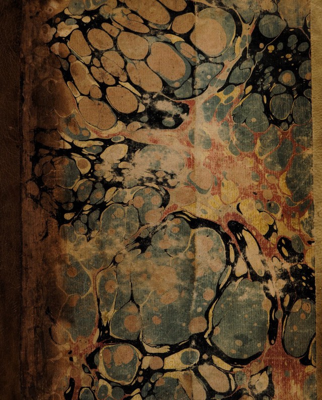 No text description is available for this image