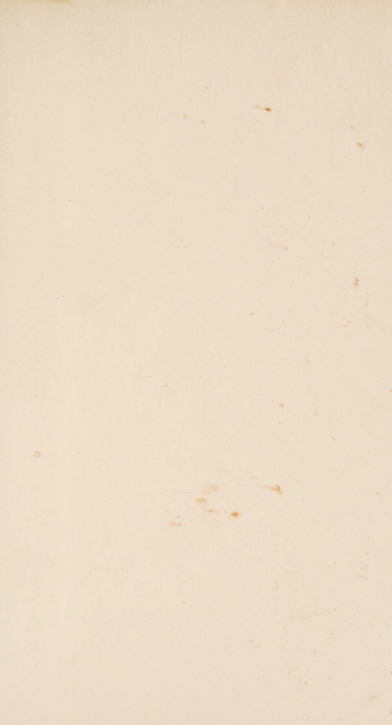 T • 3. * \ I. t y i #• » * t V • ‘ # , ) V 4