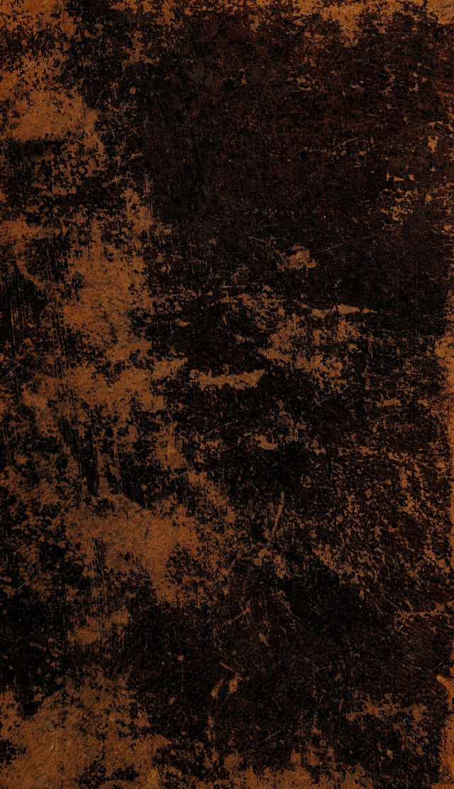 digitised image 1