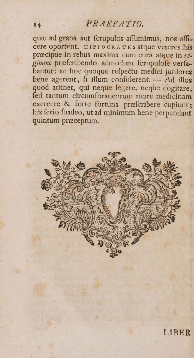 qu&amp; ad grana aut fcrupulos affumimus, nos affi- cere Oportent. HiPPOCRATES atque veteres his. precipue in rebus maxima cum cura atque in re-- gimine precribendo admodum fcrupulofe verfa. bantur: ac hoc quoque refpectu medici juniores. bene agerent, fi illum confulerent. — Ad illos quod attinet, qui neque legere, neque cogitare, fed tantum circumforaneorum more medicinam exercere &amp; forte fortuna prefcribere cupiunt; his ferio fuadeo, utad minimum bene perpendant quintum praeceptum. | LIBER