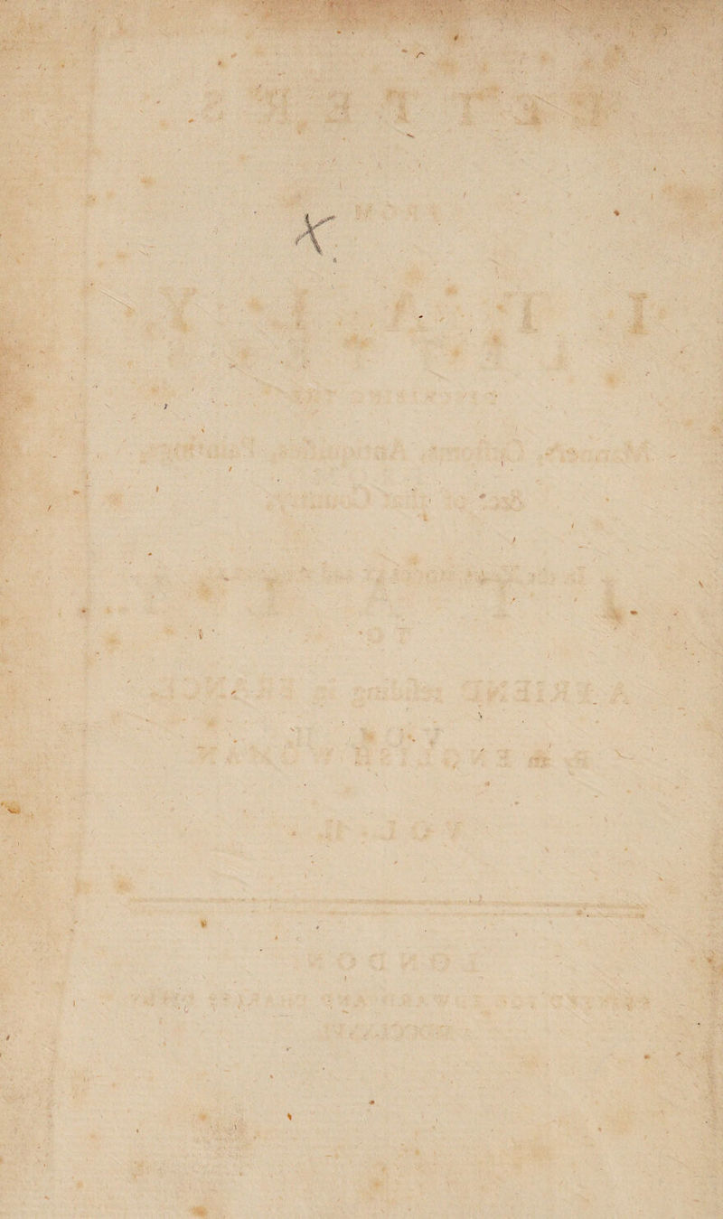 • -x. 'T >. , v n / % \ ‘ % .\ ■Y‘ V 5.