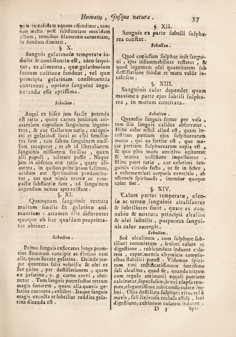 Humano 5 *jufque natura . »;nk ’ in calidam aquam effunditur ■, tunc non inulto poft fublfanciam mucidam albam , tenuibus filamentis contextam* in fundum dimittit * § X. Sanguis gelatinofas temperatae in¬ dolis & confidentiae eft, ideo (equi¬ tur, ea alimenta, quae gelatinofum fuccum coitione fundunt , vel quas principia gelatinam conftituemia continent , optimo fanguini inge¬ nerando efie aptiffima. Scholion• § XII. Sanguis ex parte fubtili fulphn- rea conflat. Scholion. .Quod copiofum fulphur iniit fangui** ni , ejus inflammabilitas teftatur * 8c quod ingentem olei quantitatem fub deffillatione fundat et motu valde cale fc at. §. XIII. Sanguinis calor dependet quatit maxime a parte ejus fubtili fulphu- rea , in motum concitata. Atqui ex hifce jam Facile petenda cft ratio , quare carnes juniorum ani- riiantium copiofum fanguinem ingene¬ rent, & cur Gallorum natio, cui opti¬ mi et gelatinofi fu Cei ac cibi familia¬ res funt , tam fubito fanguinem amif- fum recuperet , et ob id liberaliorem fanguinis miffionem facilius , quam alii populi , tolerare poffit . Neque jam in obfcuro erit ratio , quare ali¬ menta, in quibus principium falinum, acidum aut fpirituofum prsedomina» tur , aut quJt nimis terres ac com- padlse fubflantias funt * ad fanguinem augendum minus apta exiftant. §. XI. ; Quanquam fanguinis textura multum fimilis fit gelatinae ani¬ mantium : attamen Ilie differentes quoque ab hac quafdam proprieta¬ tes obtinet. Scholion . Primo fanguis exficcatus longe prona¬ tius flammam concipit ac diutius eam alit, quam ficcata gelatina . Deinde ma¬ jor quantitas falis volatilis Sc olei ex fan guine , per deftillationem , quam ex gelatina , e. g» cornu cervi , obti¬ netur . Tum fanguis putrefa&us tetrum magis foeterem , quam alia quaevis ge¬ latina corrupta , exhibet. Itaque fanguis magis, exco&a etfubtiiior reddita gela- tina dicenda eff . Scholion . Quamdiu fanguis fertur per vafa .*> tam diu fanguis calidus obfervatur « Hinc calor nihil aliud eff, quam in** teftinus partium ejus fulphurearum motus ,. qui eo fortior eft , quo ma¬ jor partium fulphurearum copia eft , & quo plus motu attritivo agitantur mutua coliifione impelluntur ^ Hinc patet ratio , cur celeriori [an¬ guinis circulo fafto , ut fit in febre , a vehementiori corporis exercitio , ab alfumtis fpirituofis , intenfior quoque calor fiat. Calore partes temperatas, oleo- fae ac terreae fanguinis alcalifarnur dr fubtiliores fiunt , quare ex coim nubio & mixtura principii alcalini &• olei fubtilis , purpureus fangui¬ nis calor emergit. Scholion ■. Sed alcali.num , cum fulphure fub- tiliori commixtum , leniori calore ac digeffione , rubicundum induere colo¬ rem , experimentis chymicis complu¬ ribus ftabiliri potefl . Videmus fpiri- tum vini re&ificatiffimum fortiffimo fali alcal/no, quod fit , quando nitrum cum. regulo antimonii aequali portione calcfnatur,fuperfufum,brevi elapfo tem¬ pore.,elegantiffime rubicundo colore im¬ bui . Olea deftillata fulphuri vivro, vel fi mavis., fali Jixiviofo reclufo affufa , leni digeffione* rubineum colorem induunt . D *' ;Spi-