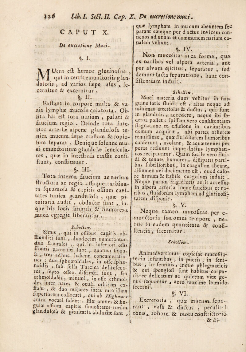 CAPUT X. De ex cretione Muci,, t*» t * 8. i. MUcus eff humoT glutinofus^ , qui in certis.einundoriisglan- du lo(i^ , ad varios, faepe ufus , fe¬ ce r altu r & excernitur II.. Ex.fta.nt in. corpore multa & va¬ tia lymphae mucoias colatoria.. Ob¬ lita his eit tota narium , palati & faucium regio . Deinde tota inte¬ rior arterias afperse gJandulofa tu¬ nica mucum faepe cratium &copio- frm feparat . Deniq ue foJenne mu¬ ci emunctorium glandulas lenticula¬ res , quae in inteftinis cnaffis conii- ftunr>. conftitmmt. §. III. Tota interna faucium aenarium ftrudura ac regio o fla q ue tu-bina¬ ta fquamofa Sc capitis odium cavi¬ tates tunica glandulofa , quas pi¬ tuitaria audit. , obdu$ae funt in¬ que his locis fanguis humores^ jiauca egregie liberantor .. Sxbolioir. Sinus qui in ofiibus capitis ab- it4>nditi funt , duodecim numerantur:, duo frontales , qui in inferiori olUs frontis parte, fiti funt , quorum fmgjir fi tres adhuc habent, concameratio ne? d-iro:lphna?oidales ,, in offe fphae- flojdis •j,..fub- fella Turcica 'delitelcen- ics , fepto ofTeo- diflirrtfdi funt , fex ethmoidales, minimi > in olle erhmoi- des inter nares. & oculi, orbitam ex- dafit 5 & duo majores intra maxillam fuperiorem collocati , qui ab Highmoro antra vocari folent . . Ma; omnes /in- gulx offium capitis fmuofitates tunica glandulofa 8c pituitaria obdud& funt , j quae lympham in mu cum abeuntem fe- parant eamque per dudus invicem con¬ nexos ad unum et communem narium ca¬ nalem vehunt. > IV. i Non mucofitasinea forma, qua. - cx naribus vel alpera arteria , aut per alvum ejicitur, feparatur , fcd demum fa da fep a r a ti o ne, h a ne corr- lillendam induit.. Schoiton. Muci materia, dum vehitur in fat>* guine fatis fluida ed > alias neque ad minimas arteriolas St dudus , qui funt in glandulis ,. accedere, neque ibi fe- cerni. poliet s fpillam vero confidentiam dignatione et. eifufione in cavitatlbus- demum acquirit , ubi partes acthereae tenuidimas x qua? fluiditatem humoribus conferunt , avolant, & aquas tenues per poros refluunt inque dudus lymphati» cos recipiuntur . Quam facile vero flui¬ di & tenues humores, diflipatis parti¬ bus fubtilioribufc, in coagulum abeant* albumen ovi documento ed , quod calo* re firmum & debile coagulum induit . Neque parum frigidioris aeris accedus in afpera. arteria inque faucibus et na- rjbus, fluidorum lympham ad gluti noli» tat em difponir. § . V. Nequs tamen mucofiras-- per e» mundoria faaomni tempore , ne-* que in eadem quantitate & cenfl- flentia.*. fc cernitur» Sxkoli otr. Animadvertimus copiofas mucodta» tesfin infantibus , in pueris , in feni- bus , in' feminis , inque phlegmaticis Sc qiri fpongiofi funt habitus corpo- ris-et* delicatum ac quietum vita: ge^ nus fequuntm* * aere maxime humidc* fecerni. ; ^ . $ VL Excretoria , qua? mbcum fepa — ranr , vjfa &- dudus , pecu! ia rb tono* robore 8c motu confli id odo \ fk di-