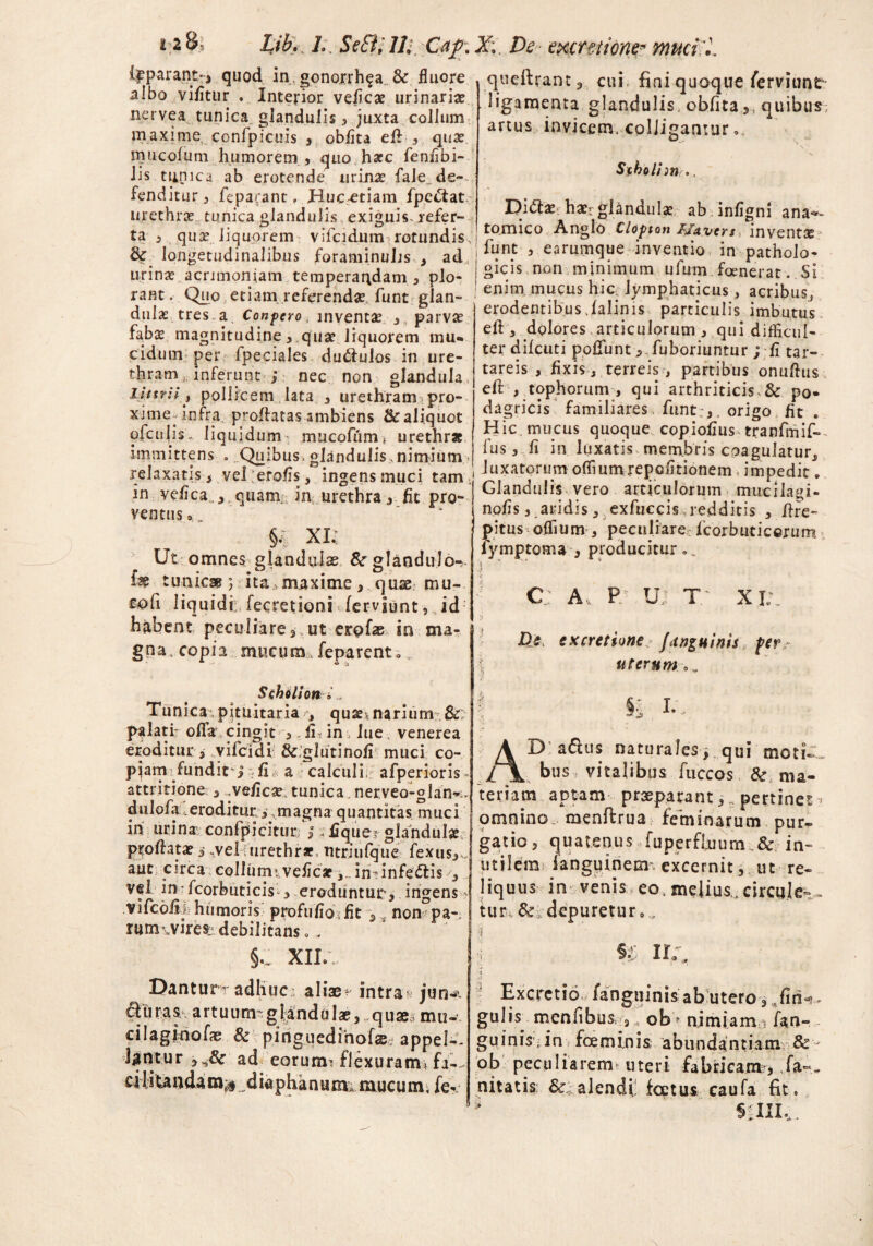 i Lib, L SeBpli ■ De exctstionq* muci i£parant-> quod in gonorrhfa.&r fluore albo vifitur . Interior veficae urinariae nervea tunica glandulis 3 juxta collum maxime, confpicuis , oblita eft 3 quae imicofum humorem , quo harc fenflbi- Jis tunica ab erotende minae fale. de¬ fenditur, fepafant, Huc^etiam fpcftat urethrae tunica blandulis exiguis, refer- ta , qux liquorem; vifcidum rotundis, & longetudinalibus foraminulis , ad urinae acrimoniam temperandam , plo¬ rant, Quo etiam, referendae funt glan¬ dulae tres, a Confero, inventae 3 parvae fahae magnitudine, quae liquorem mu* eidum per fpeciales duttulos in ure¬ thram inferunt ; nec non glandula Littrii y pollicem lata , urethram pro¬ xime-infra proflatas ambiens & aliquot ofcujX liquidum; mucofum* urethr» immittens . Quibus.glandulis,nimium relaxatis s velerofis, ingens muci tam. in vefica., quam, in urethra, fit pro- ventus» §• XK Ut omnes glandulas & gIaoduJo->. fas tunicae; ita maxime , quae mu- cofi liquidi:, fecretioni -ferviunt, id habent peculiare 3. ut erpfas in ma¬ gna, copia mucum, feparent, Scholion i Tunica pituitaria , quse narium & palati: oflfa cingit , fi in lue. venerea eroditur 3 vifeidi &.glutinofi muci co¬ piam .fundirj fi a calculi afperioris* attritione 5 veficx tunica nerveo-glan*- dulofa eroditur i - magna quantitas muci in urina confpicitur ; ; fique? glandulae proflatae s ..vel; urethrae, ntriufque fexus,., aut circa collumi.veflcaf a.. in infedtis , vel in - fcorbuticis 3 eroduntur3 ingens- vifcbiii humoris profuflo fit non pa- rum\vire£'debilitans» . §.„ XIL\ Dantun-adhuc alias- intra* jufi¬ ci u ras artuum glandulas, quae mu¬ ci laginofae & pinguedihofsi appel¬ lantur ad eorurai flexuram* fX .ci litandam.* diaphanum mucum, fe- quellrant, cui fini quoque ferviunt ligamenta glandulis, obfita,, quibus: anus invicem, colligantur», Stholhn .. Di&ae haerglandulae ab infigni ana-- ' tomico Anglo Clopton FJuvcrs. inventae ■ I funt , earumque inventio in patholo- I gicis non minimum ufum fcenerat. Si 1 enim mucus hic lymphaticus, acribus, erodentibus,falinis particulis imbutus eft , dolores articulorum 3 qui difficul¬ ter difeuti poliunt 3 fuboriuntur ; fi tar- tareis , fixis, terreis, partibus onuflus eft , tophorum , qui arthriticis. & po¬ dagricis familiares funt:,. origo fit » Hic mucus quoque copiofius tranfmif- fus, fi in luxatis membris coagulatur,, luxatorum offiumrepofitionem . impedit» Glandulis vero articulorum mucilagi- nofis, aridis 3 exfuccis ,redditis 5 flre- pitus offium , peculiare fcorbuticerum lymptoma , producitur .. j c: A. p Ui T- XV. De ex cretione: /anguinis ferr | uterum ,v AD adus naturales, qui motX bus f vitalibus fuccos & ma¬ teriam aptam praeparant,, pertinet< omnino, menftrua feminarum pur¬ gatio ? quatenus fuperffuum .& in- utilem fanguinem^ excernit, ut re¬ liquus in venis , eo . melius,^circula¬ tur. &vdepuretur, I ;i U IX J Excrctio fanguinis ab utero, ,fin^ - gulis menfibus 3. ob? nimiam:; fan¬ guinis, in foeminis; abundantiam &- ob peculiarem uteri fabricam?, ,fa-. nitatis & alendi feptus caufa fit. * saiu'