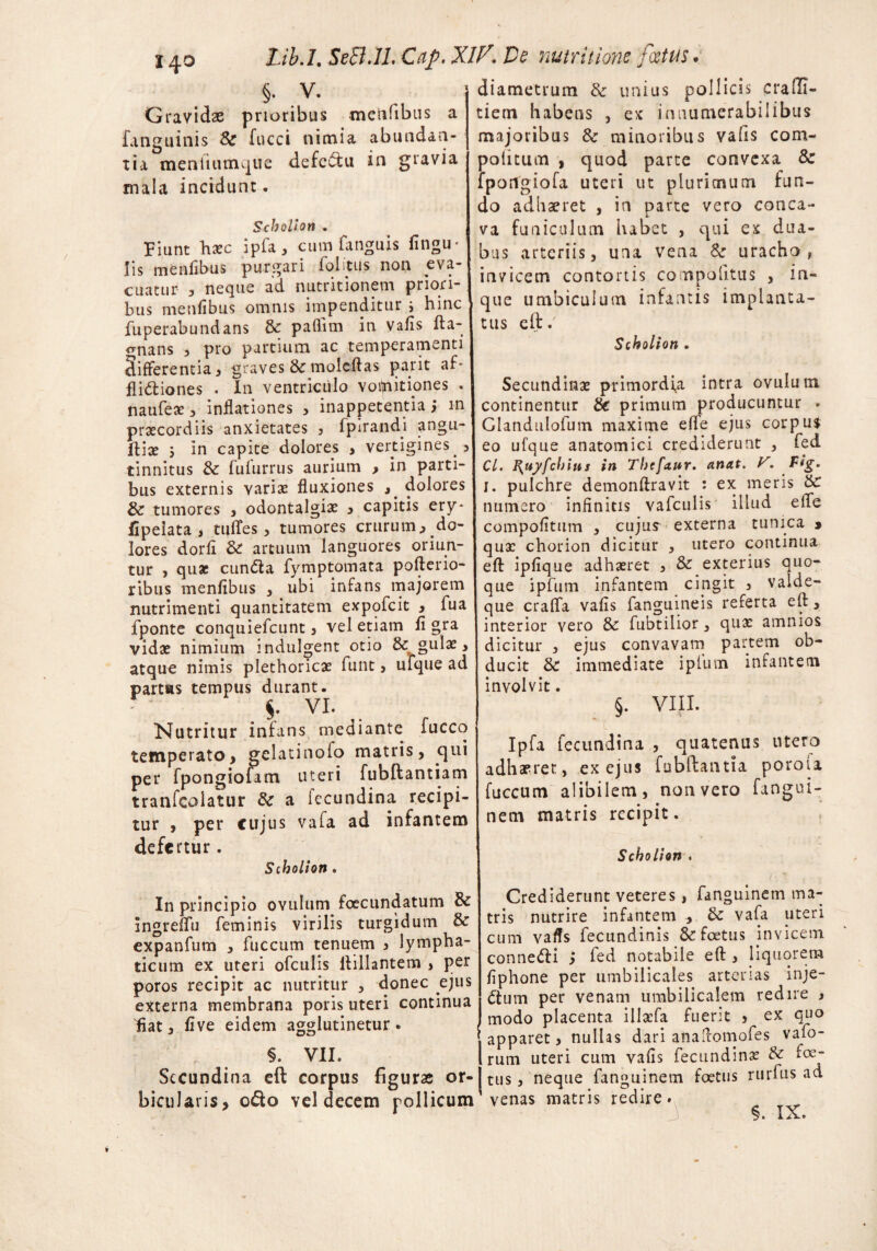 §. V. Gravidae prioribus menfibus a fanguinis & fucci nimia abundan¬ tia menfiutnque defectu in gravia mala incidunt. Scholion . Fiunt hsc ipfa, cum fanguis lingu¬ lis menfibus purgari folitus non eva- cuatLir 3 neque ad nutritionem priori¬ bus menfibus omnis impenditur i hinc fuperabundans & paflim in Vafis fta- <rnans , pro partium ac temperamenti differentia , graves & moleftas parit af- fli&iones . In ventriculo vomitiones . naufeae , inflationes , inappetentia 5 in praecordiis anxietates , fpirandi angu- jftiae } in capite dolores , vertigines ., tinnitus & fufurrus aurium > in parti¬ bus externis variae fluxiones , dolores &: tumores , odontalgiae , capitis ery- fipeiata , tuffes, tumores crurum*.do¬ lores dorfl & artuum languores oriun¬ tur , quae eunda fymptomata pofterio- ribus menfibus , ubi infans majorem nutrimenti quantitatem expofeit * fua fponte conquiefcunt, vel etiam fi gra vidae nimium indulgent otio & gulae 3 atque nimis plethoricae funt > ufque ad partus tempus durant. $. VI. Nutritur infans mediante fucco temperato, gclatinofo matris, qui per fpongiofam uteri fubftantiam tranfeoiatur & a fecundina recipi¬ tur , per cujus vafa ad infantem defertur. Scholion . In principio ovulum fcecundatum & ingreffu feminis virilis turgidum & expanfum , fuccum tenuem , lympha¬ ticum ex uteri ofculis ilillantem > per poros recipit ac nutritur , donec ejus externa membrana poris uteri continua fiat, live eidem agglutinetur. diametrum & unius pollicis cra(Ti¬ tiem habens , ex innumerabilibus majoribus & minoribus valis com¬ potitum , quod parte convexa & fpongiofa uteri ut plurimum fun¬ do adhaeret , in parte vero conca¬ va funiculum habet , qui ex dua¬ bus arteriis, una vena Sc uracho, invicem contortis compotitus , in- que umbicuium infantis implanta¬ tus eft/ Scholion . Secundinae primordia intra ovulum continentur & primum producuntur . Glandulofum maxime elfe ejus corpus eo ufque anatomici crediderunt , fed Cl. F^uyfchius in Thefanr. anat. V. Fig. I. pulchre demonftravit : ex meris &C numero infinitis vafculis illud effe compofitum , cujus externa tunica * quae chorion dicitur , utero continua eft ipfique adhaeret , & exterius quo¬ que ipfum infantem cingit , valde- que craffa vafis fanguineis referta eft, interior vero & fubtilior, qua? amnios dicitur , ejus convavam partem ob¬ ducit & immediate iplum infantem involvit. §. VIII. Ipfa fecundina , quatenus utero adhaeret, ex ejus fubftantia porola fuccum alibilem, non vero fangui- nem matris recipit. Scholion . Crediderunt veteres, fanguinem ma¬ tris nutrire infantem , Zte vafa uteri cum vafis fecundinis Scfoetus invicem conne&i ; fed notabile eft , liquorem flphone per umbilicales arterias inje- dtum per venam umbilicalem redire , ( modo placenta illafa fuerit , ex quo apparet, nullas dari anaftomofes vafo- rum uteri cum vafis fecundina? & foe¬ tus, neque fanguinem fa*tus rurlus ad venas matris redire. §. VII. Secundina eft corpus figuras or¬ bicularis, o&o vel decem pollicum