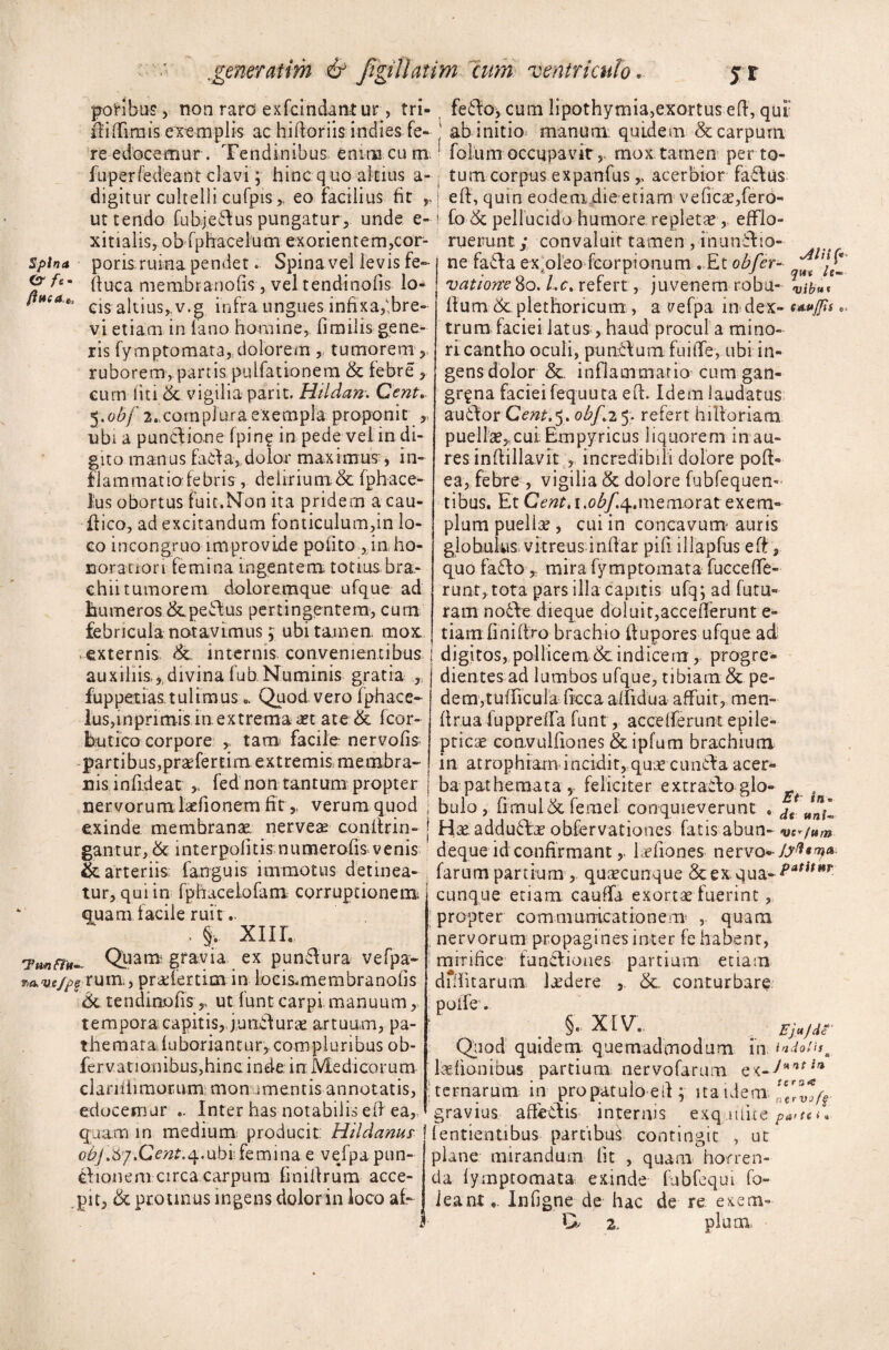 potibus, non raro exfcindantur, tri- tiifiirais exemplis ac hitioriis indies fe¬ re edocemur . Tendinibus, emmcum fuperfedeant clavi; hinc quo altius a- digitur cultelli cufpis >, eo facilius fit ut tendo fubjedus pungatur, unde e- xitialis, obfphacelum exorientem,cor- splna poris: ruina pendet. Spina vel levis fe~ & fc' (lue a mem.br anofis, vel tendi notii lo* •****'*' cis altius, v.g infra ungues infixa,'bre¬ vi etiam in lano homine, fimilis gene¬ ris fymptomata, dolorem , tumorem ruborem, partis pultationem & febre , cum liti & vigilia parit. Hildan. Cent. $.obf 2., cora plura exempla proponit r. ubi a pundione fpin? in pede vel in di¬ gito manus facta,,dolor maximus-, in¬ flammatio febris , delirium & fph-ace- lus obortus fuit.Non ita pridem a cau- flico, ad excitandum fonticulum,in lo¬ co incongruo improvide polito , in ho¬ noratiori femina ingentem totius bra¬ chii tumorem doLoremque ufque ad Eum eros & pect us pertingentem, curn febricula notavimus; ubi tamen, mox externis & internis convenientibus j auxiliis,,divina fub Numinis gratia fuppetias. tulimus.. Quod vero fphace- lus, In primis in, ex tremant ate & fcor- butico corpore , tam facile nervofis partibus,prafertim extremis, membra¬ nis i nfi.de at fed non tantum propter j nervorum; lationem fit y verum quod \ exinde membrana, nervea conlfrin- j gantur, & interpolitis numeretis, venis ! & arteriis fanguis immotus detinea¬ tur, qui in fphaceiofam corruptionem; quam lacile ruit .. , §. XIIL Th*i&u- Q_uam gravia ex punctura vefpa- rumi, prafertim in locis, membranotis & tendinofis,, ut lunt carpi manuum,, tempora capitis,, junctura artuum, pa- themataduboriantur, compluribus ob- ferv.ationibus,hinc inde, in Medicorum claniiimorum; monumentis annotatis, edocemur .. Inter has notabilis eti ea, quam in medium producit Hildanus I obJ.S/.Cent.4.ubi femina e vefpapun- etionem circa carpum finitirum acce¬ pit, & protinus ingens dolor in loco af~ feCto, cum lipothymia,exortus eti, qui 1 ab initio manum: quidem & carpum 1 foliim occupavit,- mox tamen per to¬ tum corpus expanfus,, acerbior fa£tus j eti, quin eodem die etiam vefi’cae,fero- ! fo & pellucido humore repletae,. efflo¬ ruerunt; convaluit tamen, inunitio- ne facta exoleofcorpioaum . Et obfer- vati orte 80. l,c% refert, juvenem robu- vib»* Ilum 6c plethoricum , a vefpa in dex- ***JJis. trum faciei latus , haud procul a mino- ri cantho oculi, punitum fuitTe, ubi in¬ gens dolor &. inflammatio cum gan¬ grena faciei fequuta eti. Idem laudatus auttor Cent. 5. ohf.2 5. refert hiltoriacn puellae* cui Empyricus liquorem in au¬ res intiillavit , incredibili dolore poti- ea, febre , vigilia & dolore fubfequen- tibus. Et Cent.i.obf.^.memorat exem¬ plum puelice , cui in concavum auris globulus, vitreus intiar pifi iHapfus eti, quo faitomira fymptomata fueee fle¬ runt* tota pars illa capitis ufq; ad futu¬ ram no£te. dieque doluit,acceflerunt e- tiam finitiro brachio tiupores ufque ad digitos, pollicem & indicem , progre¬ dientes ad lumbos ufque, tibiam & pe¬ dem, tudicula frcca aifidua affuit, men¬ ti tua fu p pretia funt, accelferunt epile¬ pticae convultiones & ipfum brachium in atrophiam incidit, quae cundta acer¬ ba pathemata, feliciter extracto glo- bulo, timui & ferae! conquieverunt . dt Hse adduftae obfervationes fatis abun- Wr/N« deque id confirmant,, fello nes nervo- JjrQtry* farum partium, quacunque &ex qua~^amHr cunque etiam caufla exortae fuerint, propter communicationem' , quam nervorum propagines inter fe habent, mirifice functiones partium etiam dilfli tarum ladere & conturbare polle. §• XIV., Ejnjdt Quod quidem quemadmodum in indaiitm laetionibus partium nervofarum ternarum in propatulo eti; ita idem gravius affectis internis exq .ttfue lentientibus partibus contingit , ut plane mirandum Iit , quam horren¬ da fymptomata exinde fubfequi fo- ieant,. Intigne de hac de re exem- Qy 2, pium