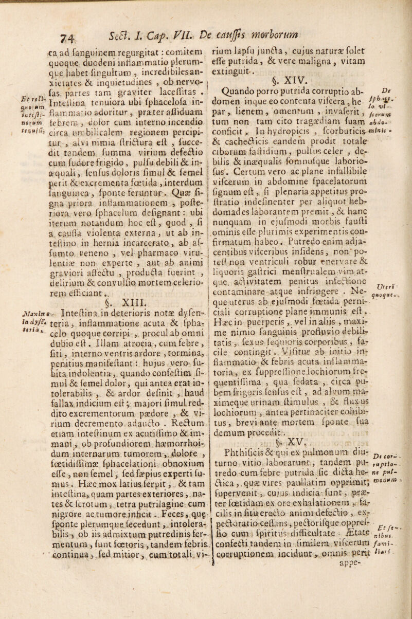 caad fanguinem regurgitat: comitem quoque duodeni inflammatioplerum¬ que habet fingultum , incredibilesan- xietates & inquietudines , ob ner vo¬ las, partes tam graviter lacefhtas Btrtll--. x . . _ r.. i_ o*tn i ut i /li¬ norum tenuiilf De rium lapfu junda, cujus naturae folet effe putrida, & vere maligna , vitam extinguit-. §. XIV. > lflJi _ _ . Quando porro putrida corruptio ab- 1 mellina tenuiora ubi fphacelofa in- domen inque eo contenta vifcera , he flammario adoritur, prater afliduam par, lienem, omentum , invaferit, Jctr«m febrem , dolor cum interno incendio tum non tam cito tragadiam fuam abdo- circa, umbilicalem regionem percipi- conficit. In hydropicis , korbutici$^»',n * tur , alvi nimia flridura ell , fuccc- & cachedicis eandem prodit totale dit tandem fumma virium defedio ciborum faflidium, pullus celer , de¬ bilis &inaqualis fomnufque laborio- fus. Certum vero ac plane infallibile vifcerum in abdomine fpacelatorum fignumeft, fi plenaria appetitus pro- ftratio indefinenter per aliquot heb- cum fudore frigido, pulfu debili & in¬ aequali, fenfus doloris fimul& femel perit & excrementa foetida , interdum {'anguinea , fpome feruntur . Quae fi- gna priora iniiammationem , pofle- riora vero fphacelum defignant: ubi ’ domades laborantem premit ,& hanc iterum notandum hoc eft, quod , fi i nunquam in ejufmodi morbis faufU a. cauffia violenta externa, ut ab in- j ominis efle plurimis experimentis con- teflino in hernia incarcerato , ab af- firmatum habeo. Putredo enim adja- fumto veneno , vel pharmaco viru-J centibus vifceribus infidens, non po- lentis non experte , aut ab animi graviori affedu , produda fuerint delirium & convulfio mortem,celerio rem efficiant §. XIII. juxixr.t, Inteftina.in deterioris nota? dyfen , - ... x indyfe. feria, inflammatione acuta & fpha- i Haec in puerperisvel in aliis , ma-xi *m<*% celo quoque corripi , procul ab omni j me nimio fanguinis profluvio debili- dubioell. Illam atrocia , cum febre, j tatis, fexus kquioris corporibus , fa~ fiti, interno ventris ardore , tormina, , cile contingit. Vifittxr ab initio in- penitius manifeflant: hujus vero fu- j flammario & febris acuta inilamma- bita indolentia ,. quando confeflim fi— j toria, ex fuppreffione iochiorum fre- teflnon ventriculi robur enervare & liquoris gaflrici menflrualem vim at¬ que. adivitatem penitus infedione | contaminare atque infringere . Ne- 1 que uterus ab ejufmodi fetida perni¬ ciali corruptione plane immunis efl. Uteri quoquco* mul & femel dolor, qui antea erat in- | quentiffiraa , qua fed-ata , circa pu- tolerabilis , & ardor definit , haud | be-m frigoris fenfus efl, ad alvum ma- fallax indicium efl; majori flmul red- j ximeque urinam .(limulus , & flux us dito excrementorum paedore , & vi- ' 1 ‘v ~ rium decremento adaudo . Redum etiam inteflinum ex acui illimo & im¬ mani, ob profundiorem haemorrhoi- durn internarum tumorem dolore , fetidiffimae fphacelationi obnoxium effe , non femel, fed faepius experti fu¬ mus. Hiec mox latius ferpit, &tam inteflina, quam partes exteriores , . na¬ tes & ferotum, tetra putrilagine cum nigrore ac tumore inficitFeces, ,qu£ fponte plerumque fecedunt,,intolera¬ bilis , ob iis admixtum putredinis fer¬ mentum , funt fetoris, tandem febris,,  continua.> .fed mitior> cum totali, vi-- lochiorum , antea pertinaciter cohibi¬ tus, breviante mortem fponte fua demum procedit . §. XV.:, PhthiOcis& qui ex pulmonum diu- Dt(0fa turno,vitio laborarunt , tandem pu- rupti0~, tredo cum febre putrida fic -.ditia he- ne p»l- dica , ,quae vires paullatim opprimit; mw** fupervenit, cujus indicia* funt, pr^- ter fetidam ex ore exhalationem ,, far cilis in fitueredo animi defedio , ex- ■ pedoratio ceflans , pedorifque oppref- - ^ fio cum fpiritus difficultate ibitate nlhJs confedi tandem ip fimiiem vifcerum fami- cocruptionem incidunt, omnis perii ***** appe-