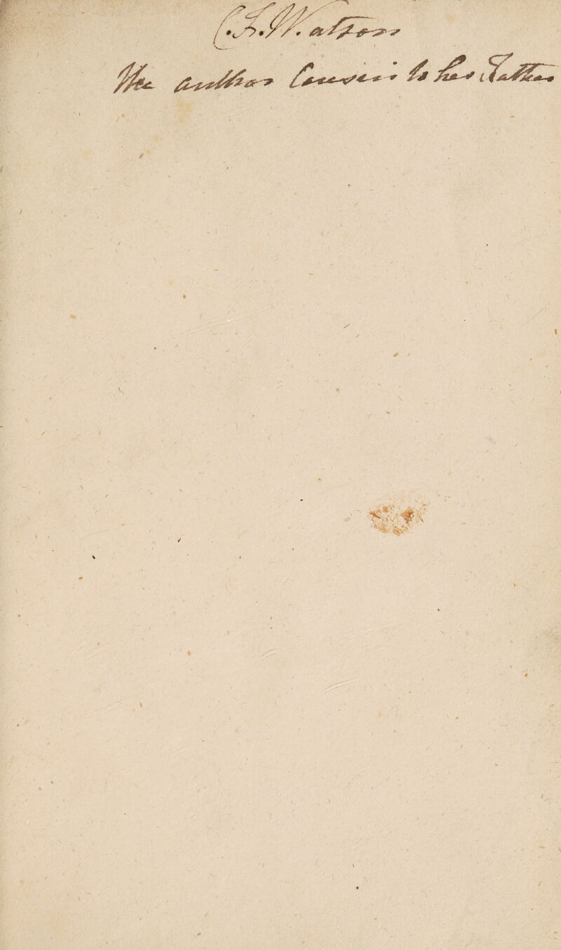 / \ ! * 4 ’ I v • r,. N