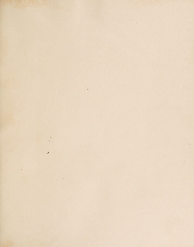 digitised image 3