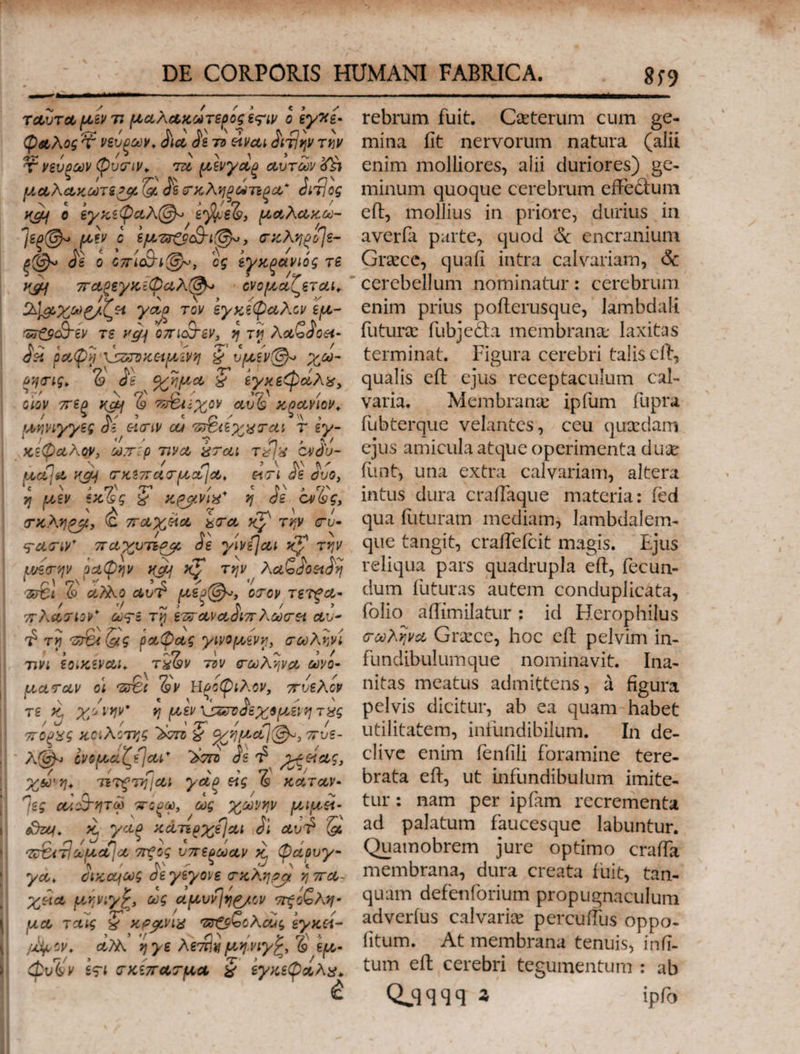 879 δ Z ͵ Ψ €» ^ ταῦτα μέν τι μαλακώτερός i yd ᾧῴωλος “Ὁ νευρῶν, dia, δὲ τὸ εἰνωι Qvi] τὴν as / / Ν ^ 1 9 7^ 3AS T νεύρων (Qua, — τῶ μένγωρ away di ? N ^ ΄ 2 N μωλωκώτερφι (x. δὲ σκληρώτερω driios 33 « ὙΖ 7 5 7 / xg 0 &amp;yxt Qa» eyueb, μολώκω- » ^ Lata, ege per δ ἐμυσσξθαλι(θο, exec] eO δὲ o cmiodi(GM, ὃς ἐγκρανιός τε xq) παρεγκεφωλ(θν ; LAN ᾽ 4 : 2d 2jaxeeACa γαρ τὸν ἐγκέφωλοων ἐμ- ππέφοδγέν τε ΚΦ] o7riod eV, ἡ τῇ λωῦδοοι- ^ € ^ € n 4 e ^ 7 óa po Qu rares za υμενίθ.. χω- a6, Ὁ de ογήμω τ eyx epa, e? ^ CI d , οἷον περ καὶ Ὁ τυϑιξγχον auG κρανίον, m c z ἌΝ: 9 μήνιγγες δὲ εἰσιν ei πϑιέχεσαι T ἐγ- / T ^ *? 7 » HA κέφωλον, wrp Wa ὅσαι τες Cudu- e. ; A e T. ne]e καὶ σκεπάσμοα)ω, εἰσὶ δὲ δύο, € N 2 ^ ! € X ΣΝ ἡ μὲν ἐκῷες S xpavis ἡ de. eye, M τ “- s. RA σκληρφι, παχρβίω sra xp τὴν σὺ- φασιν σωγχυτερφε δὲ γίνέ)αι κ᾿ τὴν μέσην ῥαφην καὶ xL τήν λαδδοειδὴ eS» 3 ^A « zt ὦ ao av? μέρ(θ)», ὁσον τετφώ- i f - 9 7 » 7 As00V* S6 τῇ ἐπ ava dur ce au- $ τῇ GÉ(us pa Que γινορμυένῃ, σωλήνί , , » ^. l ^ t. τινι £0iX€VOLI, τῶν τὸν σωλήνον (V O- « i 0s ^4 Z2 oe wamay οἱ wÉt Gy Ἡρόφιλον, πύελόν Ν 7 ε ^ « » N TE X, QVEM ἡ μεν χασοδὲχϑμένη τὲς / » | 7^ ͵ ΄σ' / 70086 Xe oS 2oTb 9? gue, 7 u£- AQ ἐνομιζέ]αι στο δε ὦ χεείας, x9. τετότη ὦν γῶρ εἰς 6 XoTay- Ἴες αἰοϑητῷ πόρῳ, ,06 χωνήν μειμιεί- ju. X γάρ κἀτερχέ)ωι di av? (&amp; mneod- N LAE / x ; aver] ὠμαΐω πρὸς ὑπερώαν X, Φάρυγ- γὼ, δικαίως δὲ γέγονε σκλήρα ἡ πώ- χεῖα μήνιχξ, ως agree aeo A3 μῶ ταῖς $e xeguig Adis ἐγκεί- ( , » dq ES ^ / 32 iyetv GM ἡγε Aezthi μήνιγξ, Ὁ εμ- Φυδν ici σκέπασμα S ἐγκεφώλς, rebrum fuit. Ceterum cum ge- mina fit nervorum natura (alii enim molliores, alii duriores) gc- minum quoque cerebrum effectum eft, mollius in. priore; durius in averfa parte, quod &amp; encranium Grece, quafi intra calvariam, &amp; cerebellum nominatur: cerebrum enim prius pofterusque, lambdali future fübjecta membranz laxitas terminat. Figura cerebri talis cft, qualis eft. ejus receptaculum cal- varia. | Membrane ipfum f(üpra fubterque velantes, ceu quzdam ejus amicula atque operimenta duz funt, una extra calvariam, altera intus dura craflaque materia: fed qua füturam mediam, lambdalem- que tangit, craffefcit magis. Ejus reliqua pars quadrupla eft, (ecun- dum füturas autem conduplicáta, folo affimilatur: id Herophilus caa Grece, hoc eft pelvim in- fundibulumque nominavit. Ina- nitas meatus admittens, à figura pelvis dicitur, ab ea quam-habet utilitatem, infundibilum. — In de- clive enim fenfili foramine tere- brata eft, ut infundibulum imite- tur: nam per ipfam recrementa ad palatum faucesque labuntur. Quamobrem jure optimo craífa membrana, dura creata fuit, tan- quam defenforium propugnaculum adverfus calvarie percuffus oppo- fitum. |. . At membrana tenuis, infi- tum eft cerebri tegumentum : ab