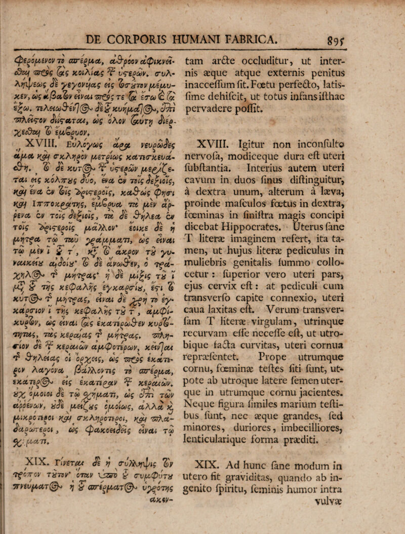 r DE CORPORIS HUMANI FABRICA. 89f φερομίνον το σπέρμα, αθροον αφικν&ί- πτ&ς &ς κοιλίας τ υπέρων* συλ- ληψεως Jg γεγοναας etg 79t£tvv αεμ,ν- χεν,ως$L[3a(s)veivcuKτ&ςτε (&. εσω£.(& τιλ&ω&ίί]®* Kvtj(Acil@*,32n Ήλit^ov <ίιι^ατακ, ως ολον ζοντνι £ιερ~ χεο&ζη δ έμζρυον, f XVIII. νευρώδες αμα y^j σκληρόν μετρίως χατισκευά- <θη* δ' $ε κυτ(&> τ' υπέρων μερ;Τε· α/ * '/ , b «ν' α> Λ, τΛί «5 κολπχς δυο, ενα cv τνις οεζίοις, W ^ ^ 'λξίς-εξοϊς, καθώς φησι K&j Ιπποκράτης, εμζρυα τα μεν αμ ον τοίί ίεζιοΊς, τα Jg θηλεα ον τοις δρι^εροϊς μάλΑον' εοιχε Jg J μητξα τω ταυ γραμμαtj, ως είναι τα) μ,ίν ι χ τ , χζ, 6 τ# vcukhx ccjdoix* δ' Jg άνωθεν, ο τςά- χηλ@* Φ μήτρας* η Jg μίΡις τ£ ί μ* X της κεφαλής εγκάρσιά, ε<τι 6 7 Λ C I *? \ λ > χυτ\^ τ μήτρας, eivai οε ^ρη ττ> εγ¬ κάρσιον ; τίϊ$ κεφαλής τ£ τ , αμφί- χυξ&ν, ως eivai S? εκατέρωθεν χνρΉ- τητας, τας κεραίας τ5 μήτρας* πτλη- / Α\ L /* - 0 ctoj/ dg Τ' κεοαλων αμψοτερων, κειν cu τ σηλ&ας οι ορχας, ως τπ&ς εκατε* λαγονα βοιΤλοντις το σπέρμα, εκατιρ@<> &ς εκατερμν ¥ κεραιών* £χ όμοιοι Jg τω ο^ημ,ατι, ως clm των i αρόενων, ύόε μ&ιζχς ομοίως, αλλα ^ μικρότεροι ygp σκληρότεροι, ygp π&,α- όαρωτεροι, ως (paxoet^elg eivai τω ί %:.ματί> XIX. τίνεταλ Jg ^ συ)λη\1;ις %ν • >. «/ » ' r ' τ / νξοπον τχ-πν* όταν \jzffv χ συμφυτν ττνευματη χ σπέρματά υ^ξοτης αχόν- tam arde occluditur, ut inter¬ nis aeque atque externis penitus inacceiTumiit.Foetu perfedo, latis- fime dehifcit, ut totus infansiithac pervadere poffit. XVIII. Igitur non inconiulto nervrofa, modiceque dura eil uteri fubilantia. Interius autem uteri cavum in duos finus diftinguitur, 4 dextra unum, alterum a laeva, proinde mafculos foetus in dextra, ibeminas in finiltra magis concipi dicebat Hippocrates. Uterus (ane T fiter^c imaginem refert, ita ta¬ men, ut hujus literae pediculus in muliebris genitalis iummo collo¬ cetur : iuperior vero uteri pars, ejus cervix eft: at pediculi cum transverfo capite connexio, uteri caua laxitas eft. Verum transver- fam T literae virgulam, utrinque recurvam eife necclfe eft, ut utro- bique fada curvitas, uteri cornua repraefcntet. Prope utrumque cornu, foemince teftes fiti funt, ut- pote ab utroque latere femen uter¬ que in utrumque cornu jacientes. Neque figura fimiles marium tefti- bus iunt, nec aeque grandes, fed minores, duriores, imbecilliores, lenticularique forma praediti. XIX. Ad hunc (ane modum in utero fit graviditas, quando ab in¬ genito fpiritu, feminis humor intra vulvae