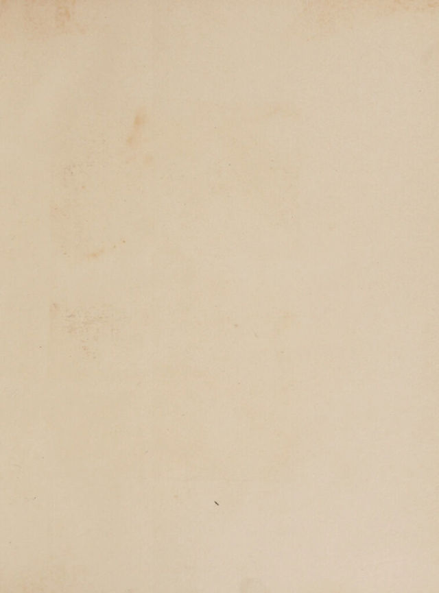 digitised image 3