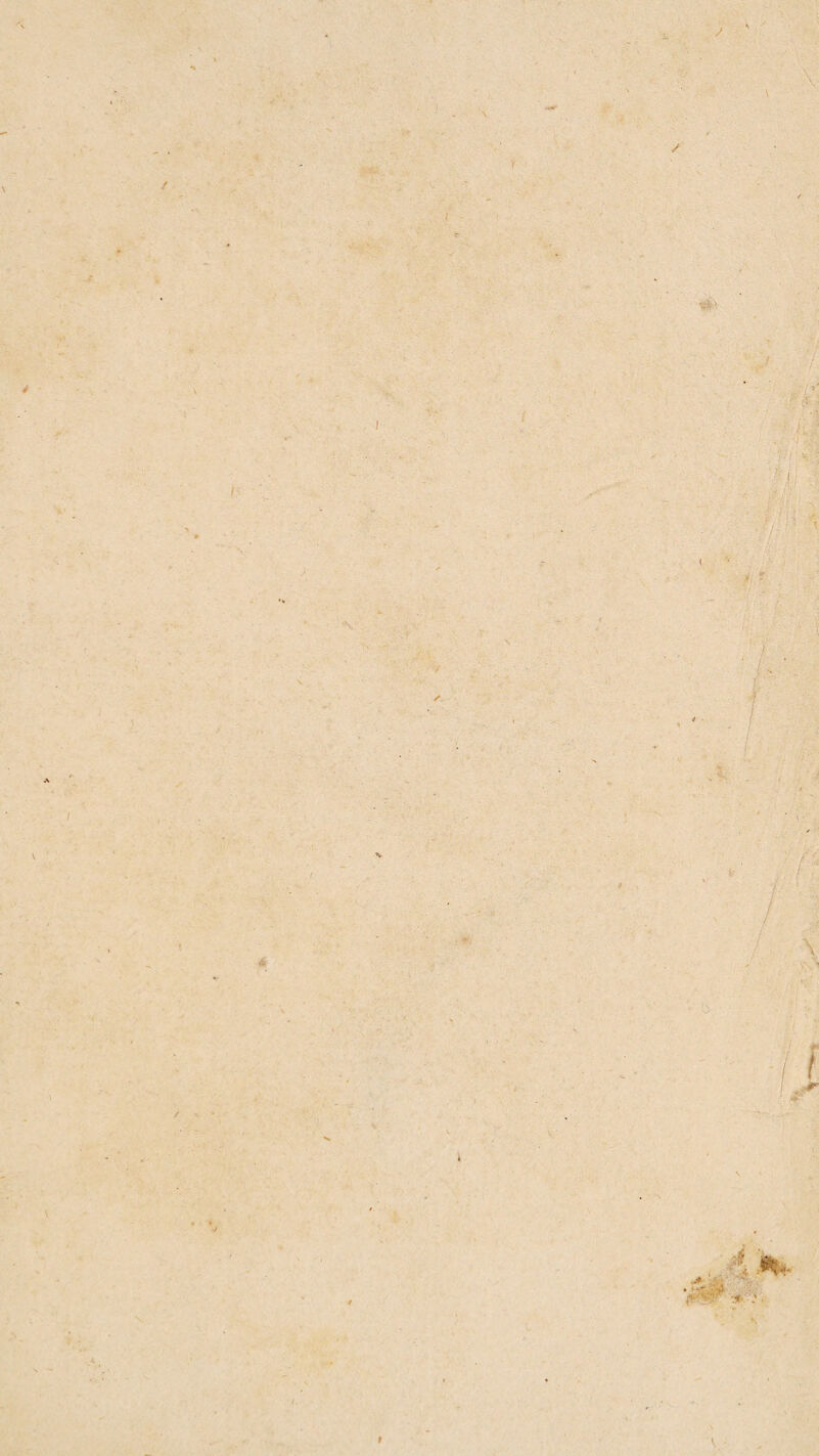 \ } \. 4 / V , * n. • I V / t