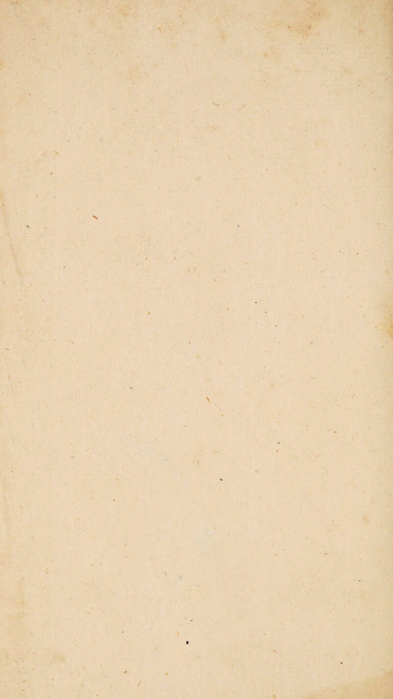 1 - >-T< ,..S s • - .-A- . ■ > <• \ « i \ i* ij>= %■ ' -M ft - ' i ■ i V T f ■ 'I w I / A « S 4 I \ 4t \ * 1 # 4