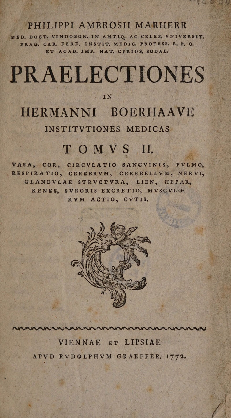 /PHILIPPI AMBROSII MARHERR MED. DOCT. VINDOBON. IN ANTIQ. AC CELER, YNIVERSIT. PRAG. CAR. FERD, INSTIT. MEDIC. PROFESS. R, P, O. ET ACAD. IMP, NAT. CVRIOS, SODAL. PRAELECTIONES . HERMANNI BOERMANYE — INSTITVTIONES MEDICAS. | n | TOMVS IL ; VASA, COR, CIRCVLATIO SANGVINIS, PVLMO, . RESPIRATIO, CEREBRVM, CEREBELLVM, NERVI, GLANDVLAE STRVCTVRA, LIEN, HEPAR, RENES, SVDORIS EXCRETIO, MVSCVLO- | RYM ACTIO, CVTIS. CSIFSIPUAJASJAO SUPU AJAQAGAJASS IPSIS PNIS ANJA JAN JPN JS ISO JPN Af VIENNAE zr LIPSIAE p APVD RVDOLPHVM GRAEFPFER, 1772,