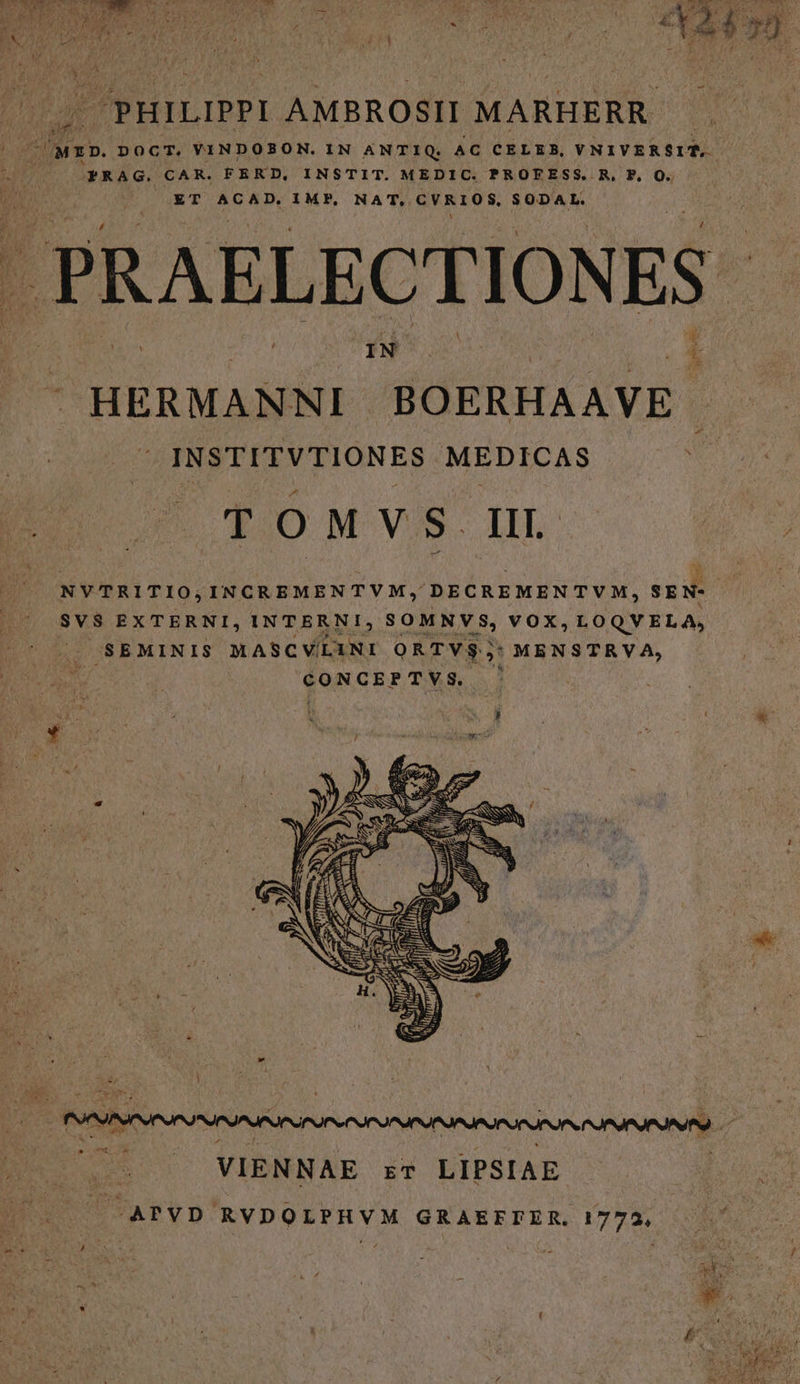PHILIPPI AMBROSII MARHERR. . PRAELECT ION ES IN HERMANNI BOERHAAVE INSTITVTIONES MEDICAS T OMVS III LU VIENNAE ET LIPSIAE ^APVD RVDOLPHVM GRAEFLIER. 1772,