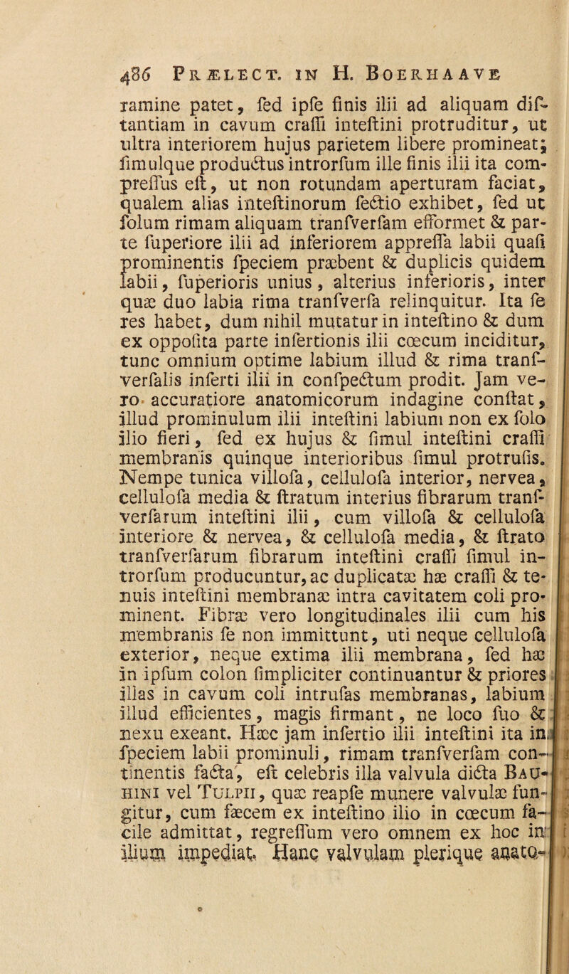 ramine patet, fed ipfe finis ilii ad aliquam difi- tantiam in cavum crafli inteftini protruditur, ut ultra interiorem hujus parietem libere promineat; fimulque produ&us introrfum ille finis ilii ita com- preffus eft, ut non rotundam aperturam faciat, qualem alias inteftinorum fe&io exhibet, fed ut folum rimam aliquam tranfverfam efformet & par¬ te fuperiore ilii ad inferiorem appreffa labii quali prominentis fpeciem praebent & duplicis quidem labii, fuperioris unius, alterius inferioris, inter quae duo labia rima tranfverfa relinquitur. Ita fe xes habet, dum nihil mutatur in inteftino & dum ex oppolita parte infertionis ilii coecum inciditur, tunc omnium optime labium illud & rima tranf- verfalis inferti ilii in confpedtum prodit. Jam ve¬ ro accuratiore anatomicorum indagine conftat, illud prominulum ilii inteftini labium non ex folo ilio fieri, fed ex hujus & fimul inteftini crafli membranis quinque interioribus fimul protrufis. Nempe tunica villofa, cellulofa interior, nervea, cellulofa media & ftratum interius fibrarum tranf- verfarum inteftini ilii, cum villofa & cellulofa interiore & nervea, & cellulofa media, & ftrato tranfverfarum fibrarum inteftini crafli fimul in¬ trorfum producuntur, ac duplicata! hae crafli & te¬ nuis inteftini membranae intra cavitatem coli pro¬ minent. Fibra! vero longitudinales ilii cum his membranis fe non immittunt, uti neque cellulofa exterior, neque extima ilii membrana, fed hae in ipfum colon (impliciter continuantur & priores • illas in cavum coli intrufas membranas, labium illud efficientes, magis firmant, ne loco fuo & nexu exeant. Haec jam infertio ilii inteftini ita inJ fpeciem labii prominuli, rimam tranfverfam con-| tinentis fadta, eft celebris illa valvula dicSta Bau- hini vel Tulpii, quae reapfe munere valvulae fun- i gitur, cum faecem ex inteftino ilio in coecum fa¬ cile admittat, regreflum vero omnem ex hoc in: ; Ilium impediat Hane valvulam pleyique aaata*