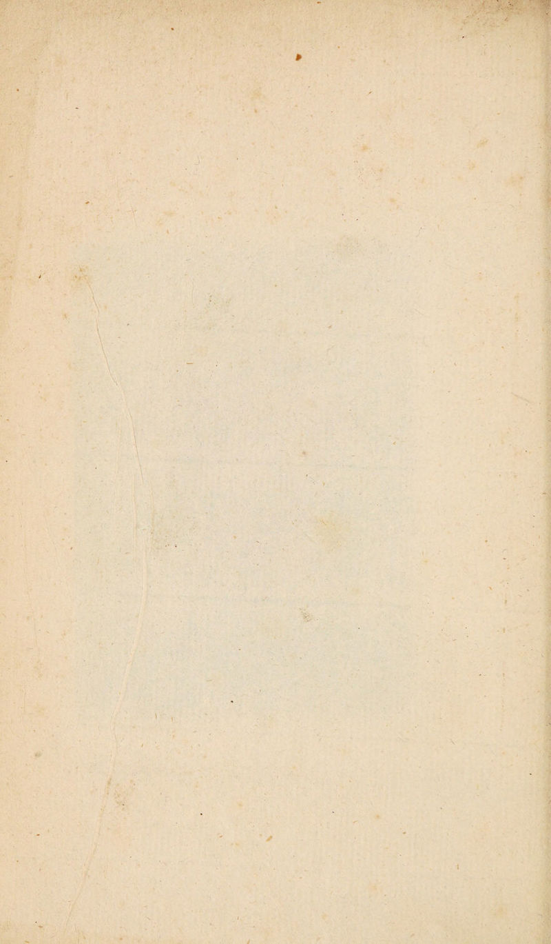 P - . * '.1* ' ✓ J