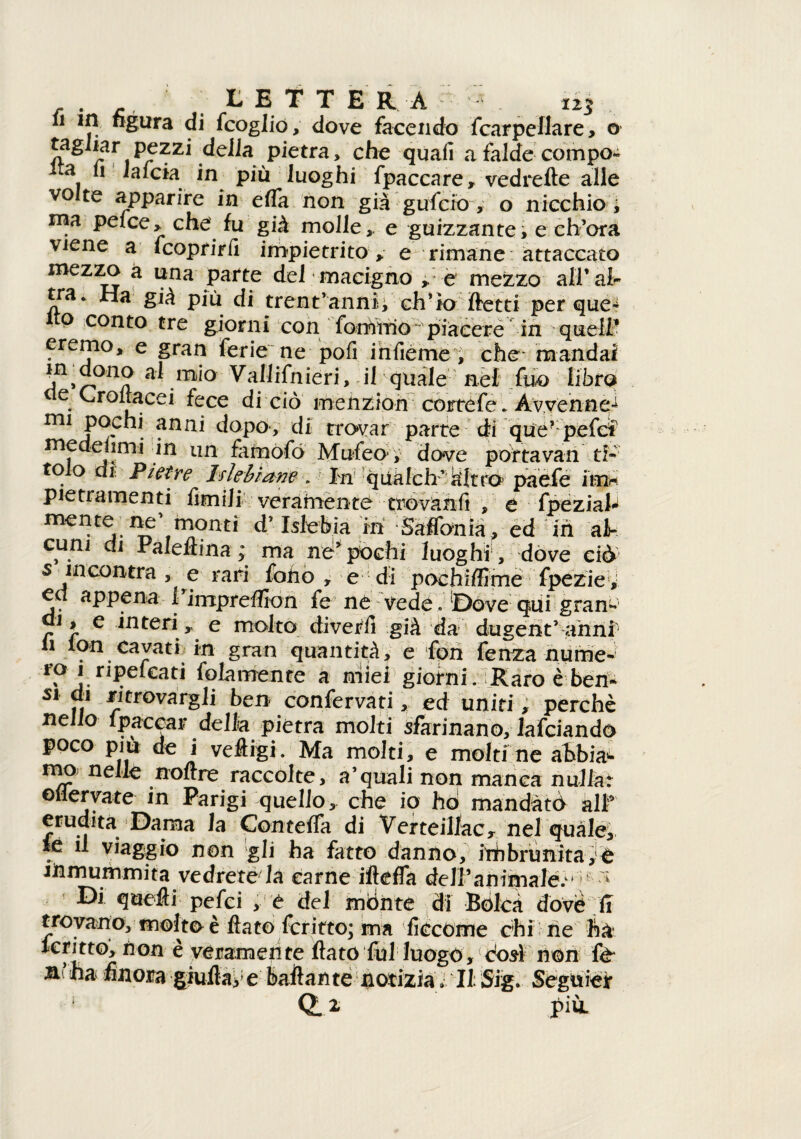 11 in figura di fcoglio, dove facendo /carpellare, o tagliar pezzi della pietra, che quali a falde compo- a. “ in più luoghi fpaccare, vedrette alle volte apparire in etta non già gufcio, o nicchio ; nia pelce, che fu già molle, e guizzante, e ch’ora viene a fcoprirfi impietrito , e rimane attaccato mezzo a una parte del macigno > e mezzo all’al¬ tra. Ha già più di trent’annii ch’io fletti per que- o conto tre giorni con fornirlo piacere in quell* eremo, e gran ferie ne pofi infieme, che- mandai in dono al mio Vallifnieri, il quale nèf fuo libro eie Croitacei fece di ciò menzion cortefe. Avvenne^ mi pochi anni dopo, di trovar parte di que? pefcf 11 n famofò Mufeo1, dove porta va n ti¬ tolo di Pietre Tslebiane > In qiiàlch’ kltró paefe im* pietra-menti limili veramente tróvànfi , e fpeziah mente ne monti d’ Islebia in Safibnià, ed in al¬ cun] di Paleftina ; ma ne’ pochi luoghi, dove ciò 5 incontra , e rari folio , e di pochiffime fpeziev ed appena rimpreflion fe ne :vede, [Dove qui gran- J l e interi ,, e molto diverii già da dugent’ahni li lon cavati in gran quantità, e fon fenza nume-r rp 1 npelcati fola mente a miei giorni. Raro è ben- si di ritrovargli ben confervati, ed uniti, perchè nello fpaecar della, pietra molti sfarinano, lafciando poco più de i veftigi. Ma molti, e molti ne abbia- mo nelle n oltre raccolte, a’quali non manca nulla: enervate in Parigi quello, che io ho mandati alf erudita Dama la Con tetta di VerteillaCy nel quale, ie il viaggio non gli ha fatto danno, rimbrunita,e Jhmummita vedrete là carne iftefla dell’animale. *;-^ Di quelli pefei , é del mónte di Bolcà dovè li trovano, molto è flato fcritto; ma ficcome chi ne ftà Icritto, non è veramente flato fui luogo, dosi non fe a’ha finora giullare ballante notizia .11 Sig. Seguier 0.2 pìÙL