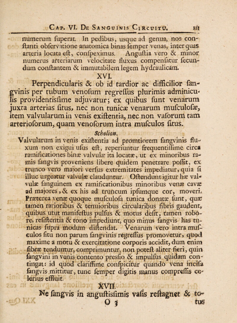 numerum fuperat. In pedibus, usque ad genua, nos con¬ flanti obfervatione anatomica binas femper venas, inter quas arteria locata eft, confpeximus. Anguflia vero & minor numerus arteriarum velocitate fluxus compenfatur fecun¬ dum conflantem & immutabilem legem hydraulicam. XV L Perpendicularis & ob id tardior ac difficilior fan- gvinis per tubum venofum regreffus plurimis adminicu¬ lis providentisfime adjuvatur; ex quibus funt venarum juxta arterias fltus, nec non tunicae venarum mufculofae^ item valvularum in venis exiflentia, nec non vaforuni tam arterioforum, quam venoforum intra mufculos fitus. Schdkn. Valvularum in venis exiftentia ad prdmtiorem fangvinis flu^ xum non exigui ufus eft, reperiuntur frequentiflime circa ramificationes binae valvulae ita locatae, ut ex minoribus ra¬ mis fangvis proveniens libere quidem penetrare pofiit, ex trunco vero majori verfus extremitates impediatur, quia fi illuG urgeatur valvulae clauduntur. Oftendunt igitur hae val¬ vulae fanguinem ex ramificationibus minoribus vena® cavae ad majores, & ex his ad truncum ipfumque cor, moverim Praeterea venae quoque mufculofa tunica donatae funt, quae tamen rarioribus & tenuioribus circularibus fibris gaudent, quibus utut manifeftus pulfus & motus defit, tamen robo¬ re, refiftentia & tono impediunt, quo minus fangvis has tu¬ nicas fupra modum diftendat. Venarum vero intra muf ¬ culos fi tu non parum fangvinis regreflus promovetur, qiiod maxime a motu & exercitatione corporis accidit, dum enim fibrae tenduntur, comprimuntur, non poteft aliter fieri, quin jfarigvini in venis contento presfio & impulfiis quidam con¬ tingat: id quod clariffime confpicitur quando vena incila fangvis mittitur, tunc femper digitis manus eompreflis ce¬ lerius effluit. Ne fangvis in anguftisfimis varis reftagnet & to-