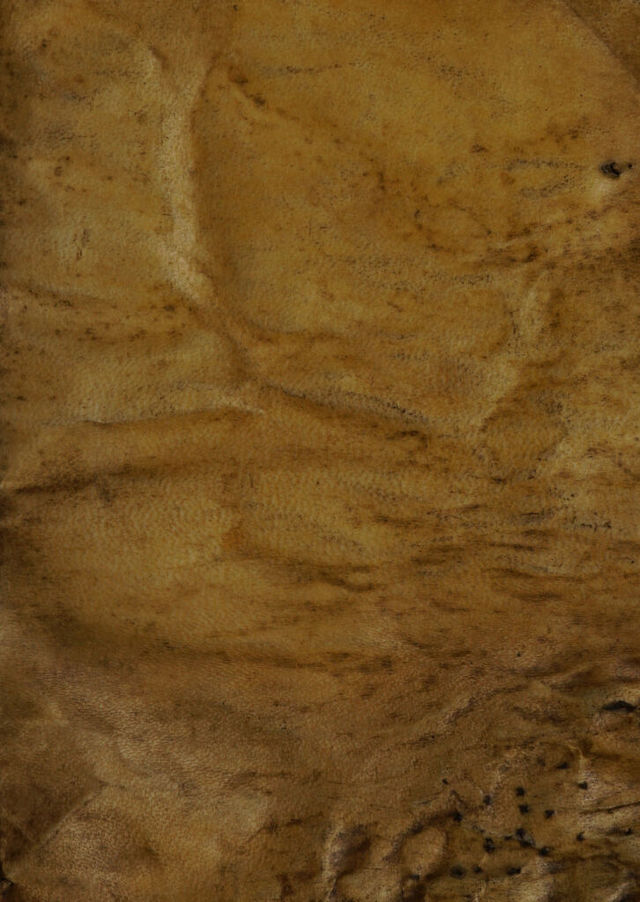 digitised image 1