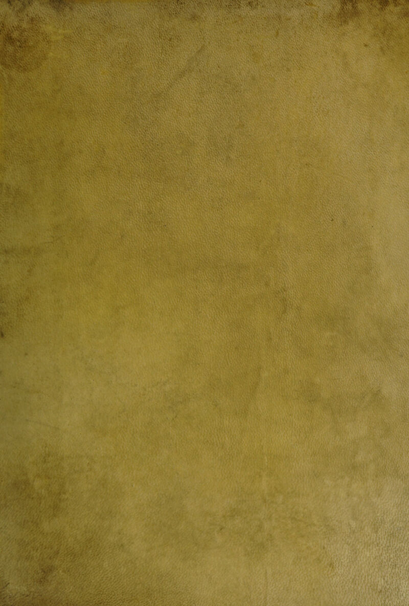 v Cv V. V' Vv'.‘r a; ■ • '11 #: - • -&&Vt 8sAhM* •:i-.';»*.-mymif-w ,},■<' i •‘v >■ w ■ ;,'■ . .• / > •-; - . ■ . V'' ir ••'iV'-' ^ 4\V:’' i •' ;v' ■ •'iaVmw.w-osftY 'V,- ■ ■ ’ y •■ >':VA . . * ■ -» ’z: ^ ■ a' s«ii Ii’* V - l\ u- .. -J* r. 'rW ■ ' ' ... . .. , ;• • • ' ■ ■ ■- . V-v t fe'ifv • > AV-vmv w MHKCT •. :■'- £ 'i - ■ * ■ r j.-j. jjfik .. . .*'» ' • ’■ •■■• ■.•>' ‘ -'V ■*' t. • i 11.1 12 W* -y v / • *V ; 4> •• * l *3 }. - - . ! ’ . i<1 mmk W ‘.Ai! >' i d, 'ij u'“lWi-Wi! • i*'; }' ,iv ,?’i V c— JSf- -• ■>•' '*.r, x > * ‘ ' . V ■ ■'. ■•• •-:/ =- :'■ .~Z'y,L-■■ . ■ V-’: