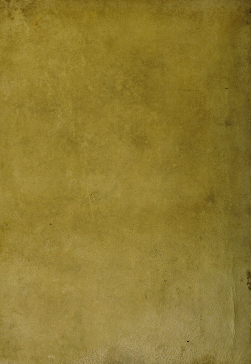 ♦ •• .v\>* . ■ ,; ■., •.. ■ - V i j . :-y- . ■■■ ■ r ' 'W . , . \ ■ •• •;w„ •• ■ ’■■ rjQ,r > ■ ^ 1 . • , . , ' •' i- » ' . . . . ‘ •*! •' ■' .'r”’ k ■ ■ ;. w';» = ... v.-'y ■ ' ... ' -: ' . Vi , .• ■ ■■„' ■' . <Br 'l X. * w ' ... i '-,V • . ■ » ■ --r'-tir:»^ii5ara£S ... ••••• - S; ■. . ■ ■ . * V v ; V*; .. i ,• <,* r / ' j ; • . •.> ‘ -t iv ■».« ' - ' ■■ '• V;; *■ r : . ■ • ‘. •. / \ •', v- v . . Y , • J&M. . T * t ' > * *»:. : * • • ... r. • -4 \ nl Sf ' ' kJ. * yi J >5, . ■ ' - ^ • V, .> ► K ■ v ' .' • • ^ . • f*v P ■ E ■ • ■ ' - • -V-; 'y* ^ :